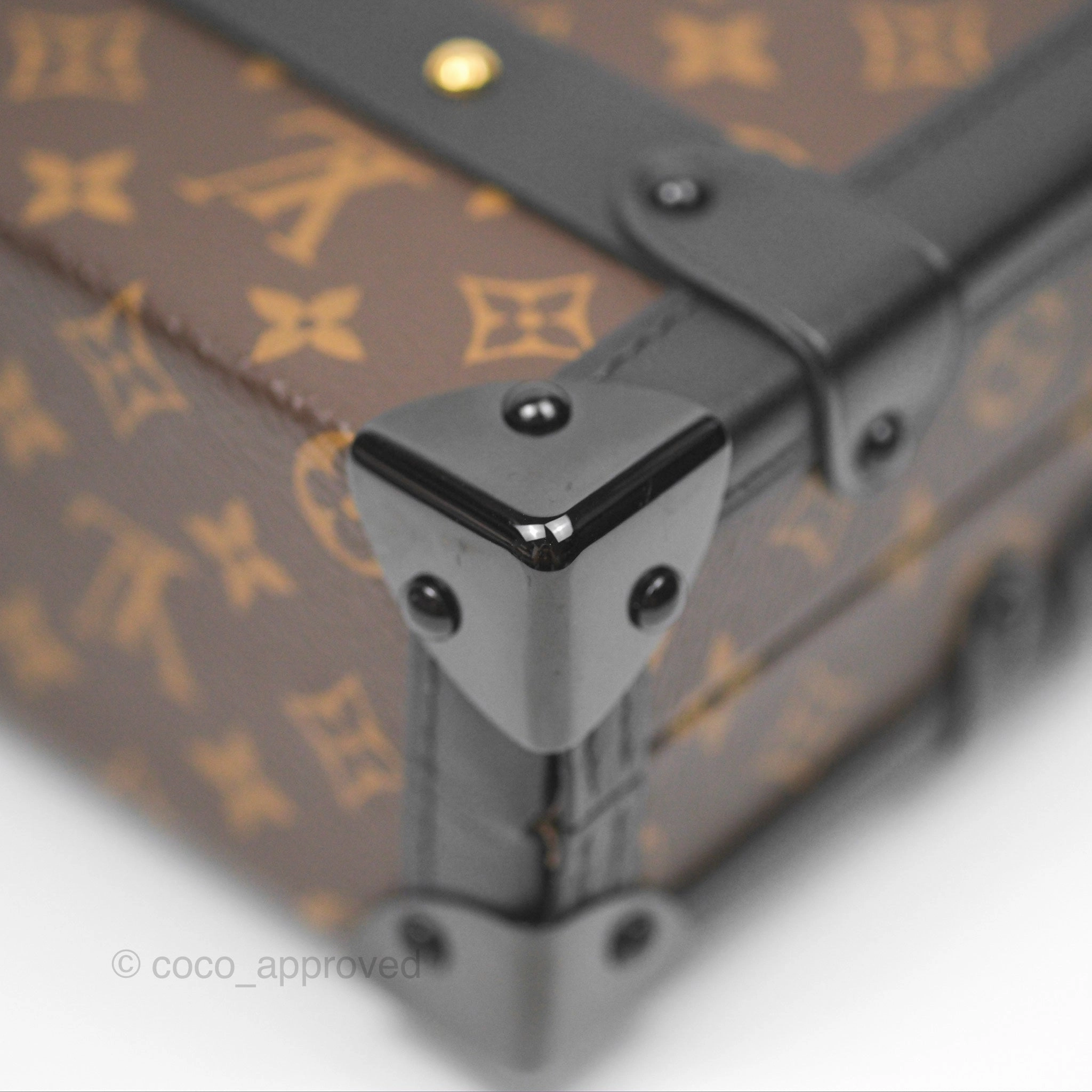 Louis Vuitton Monogram Petite Malle