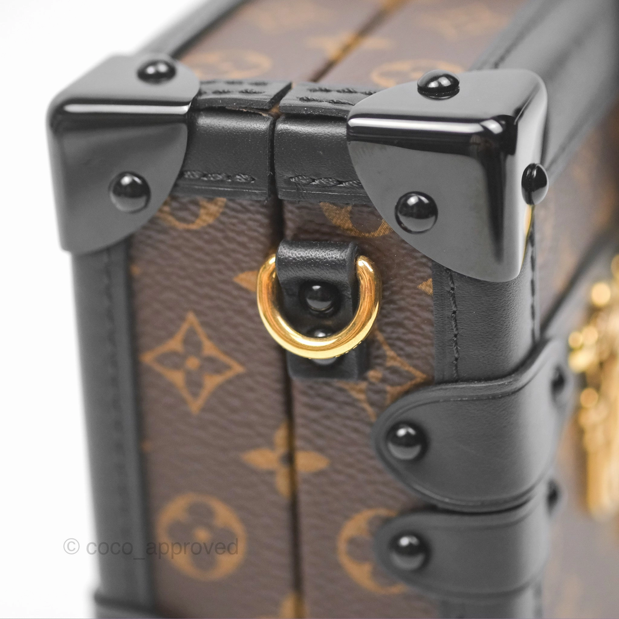 Louis Vuitton Monogram Petite Malle