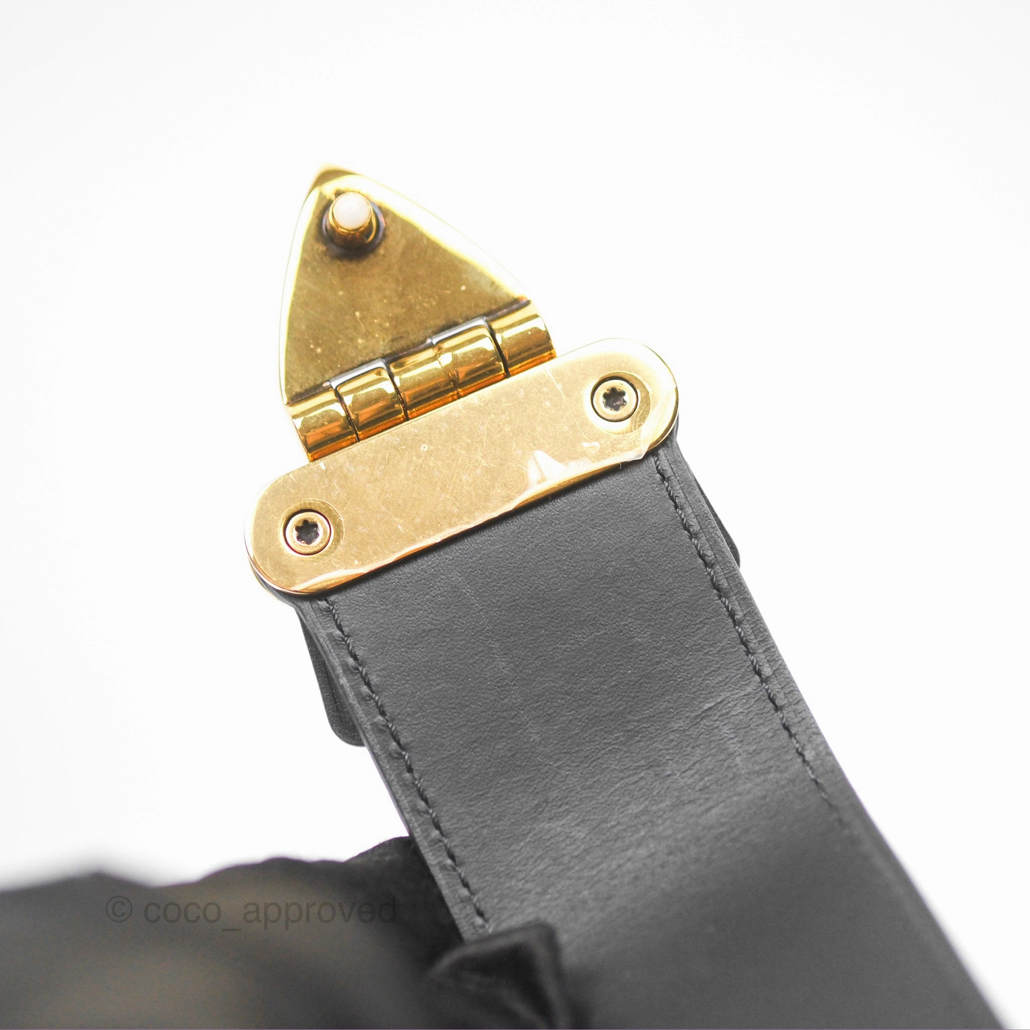 Louis Vuitton Monogram Petite Malle
