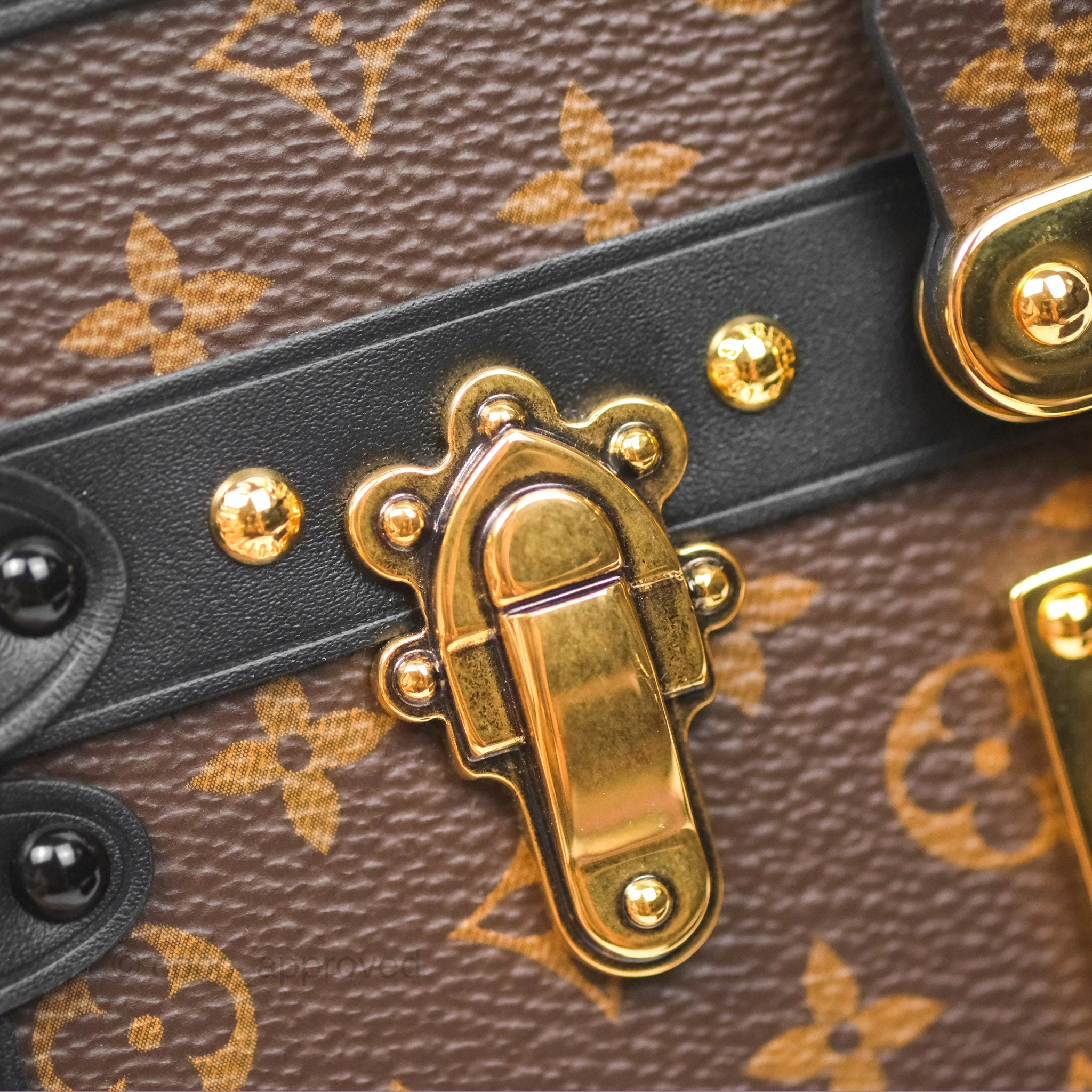 Louis Vuitton Monogram Petite Malle