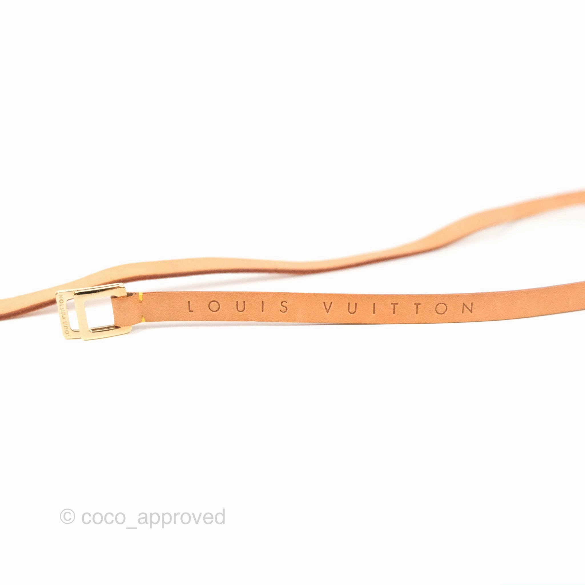 Louis Vuitton Monogram Pochette Florentine XS