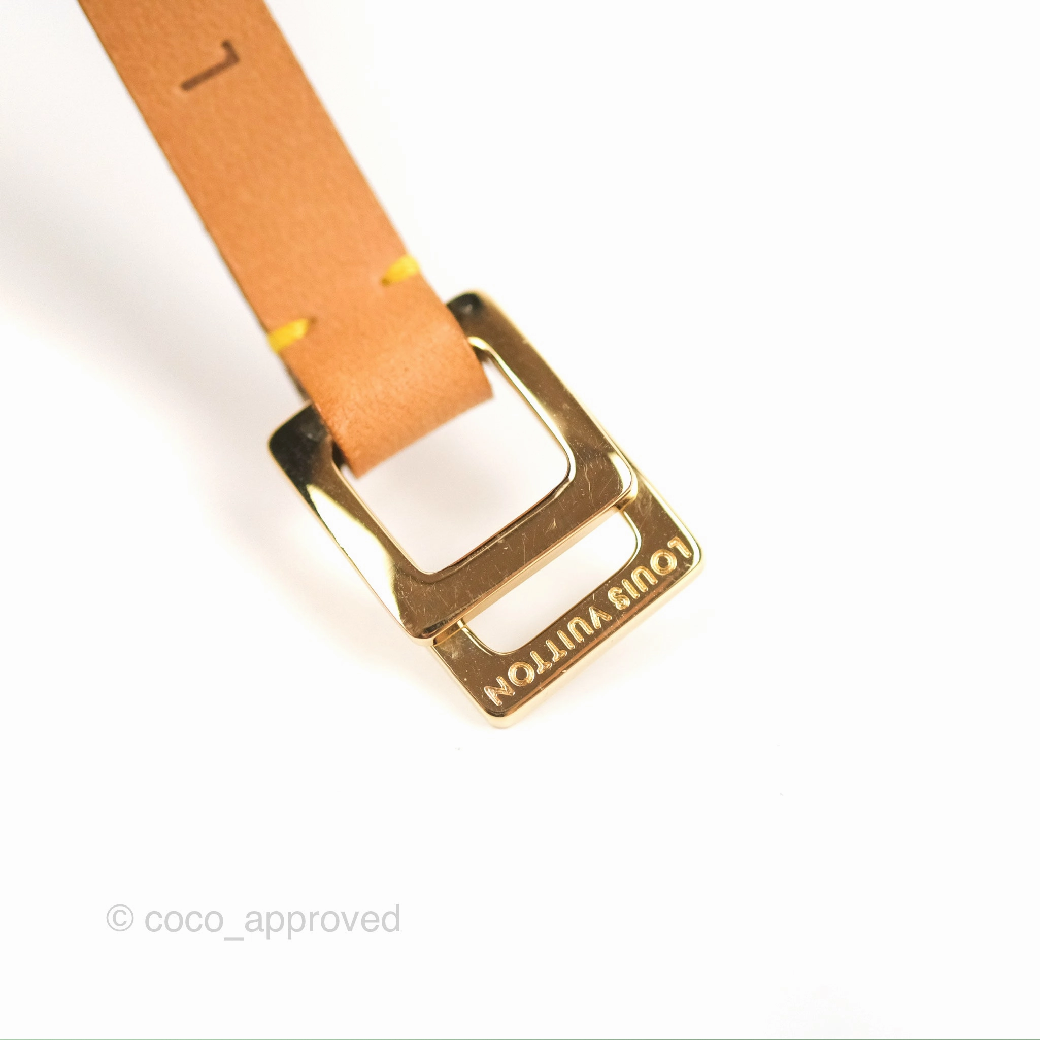 Louis Vuitton Monogram Pochette Florentine XS