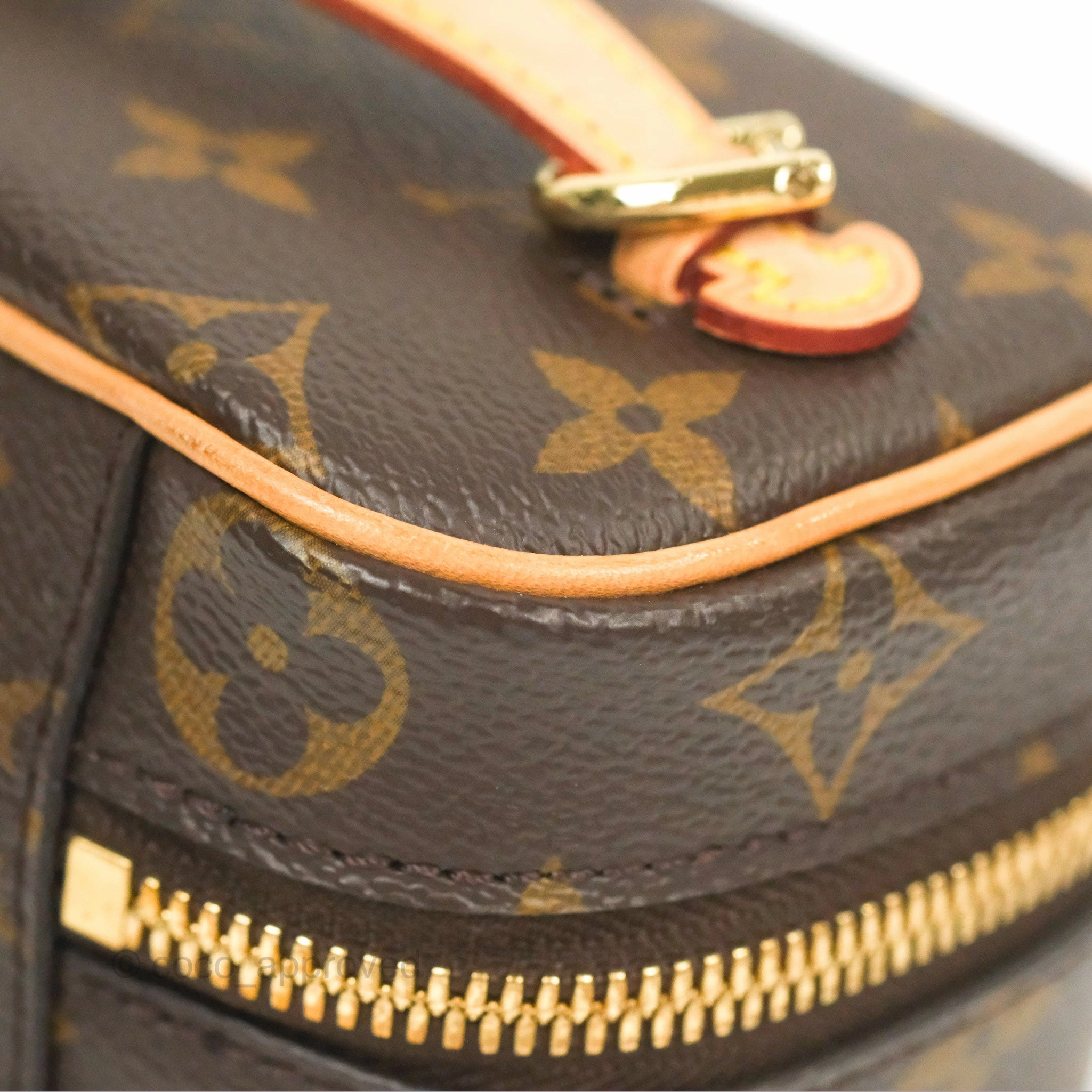 Louis Vuitton Nano Nice Monogram