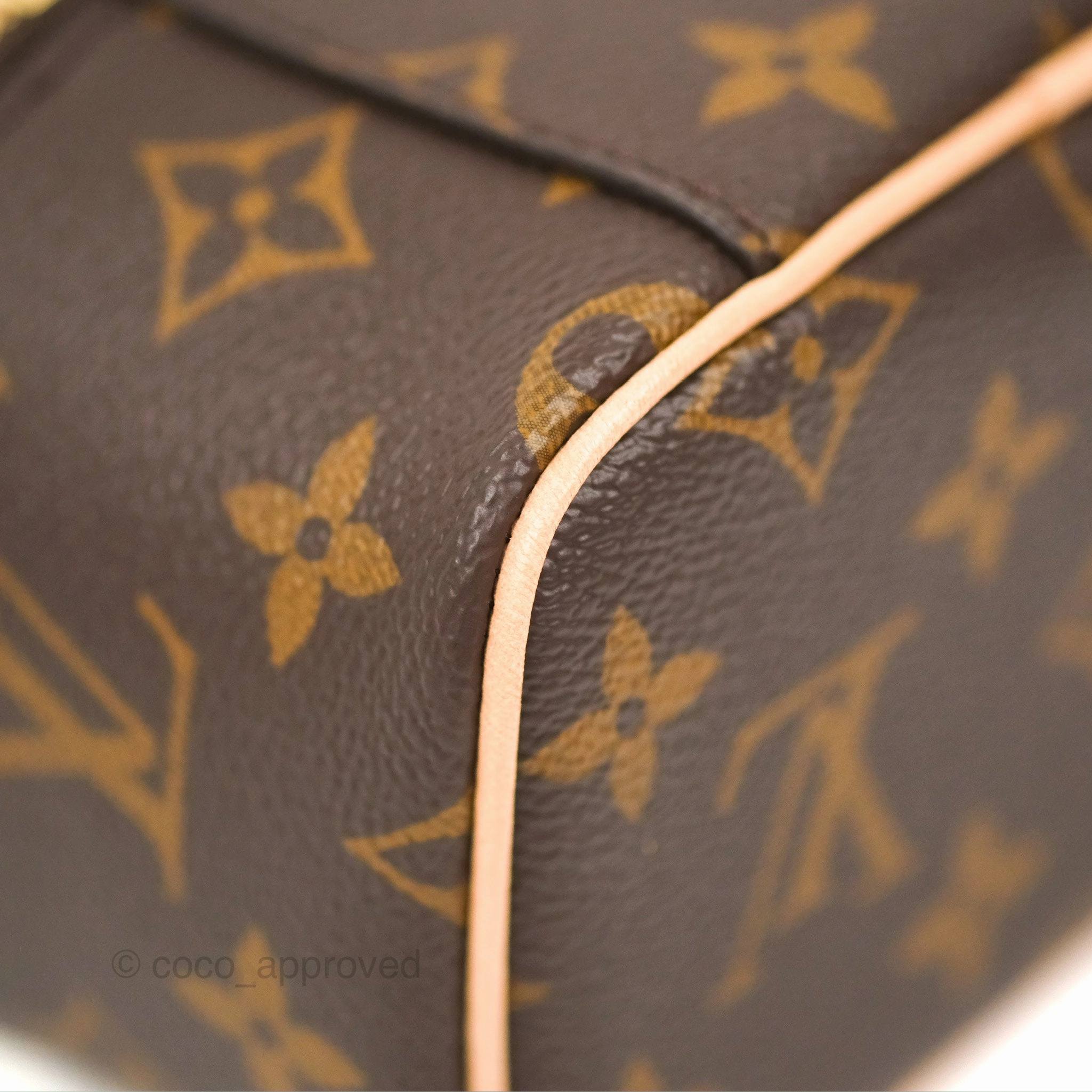 Louis Vuitton Nano Nice Monogram