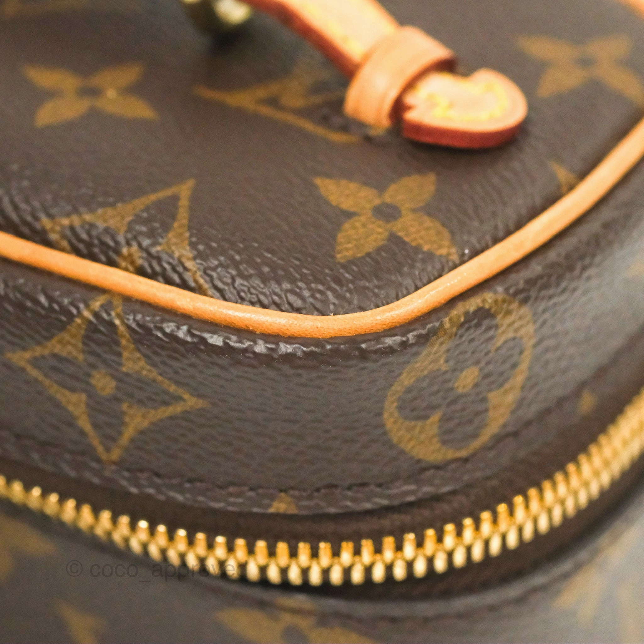 Louis Vuitton Nano Nice Monogram