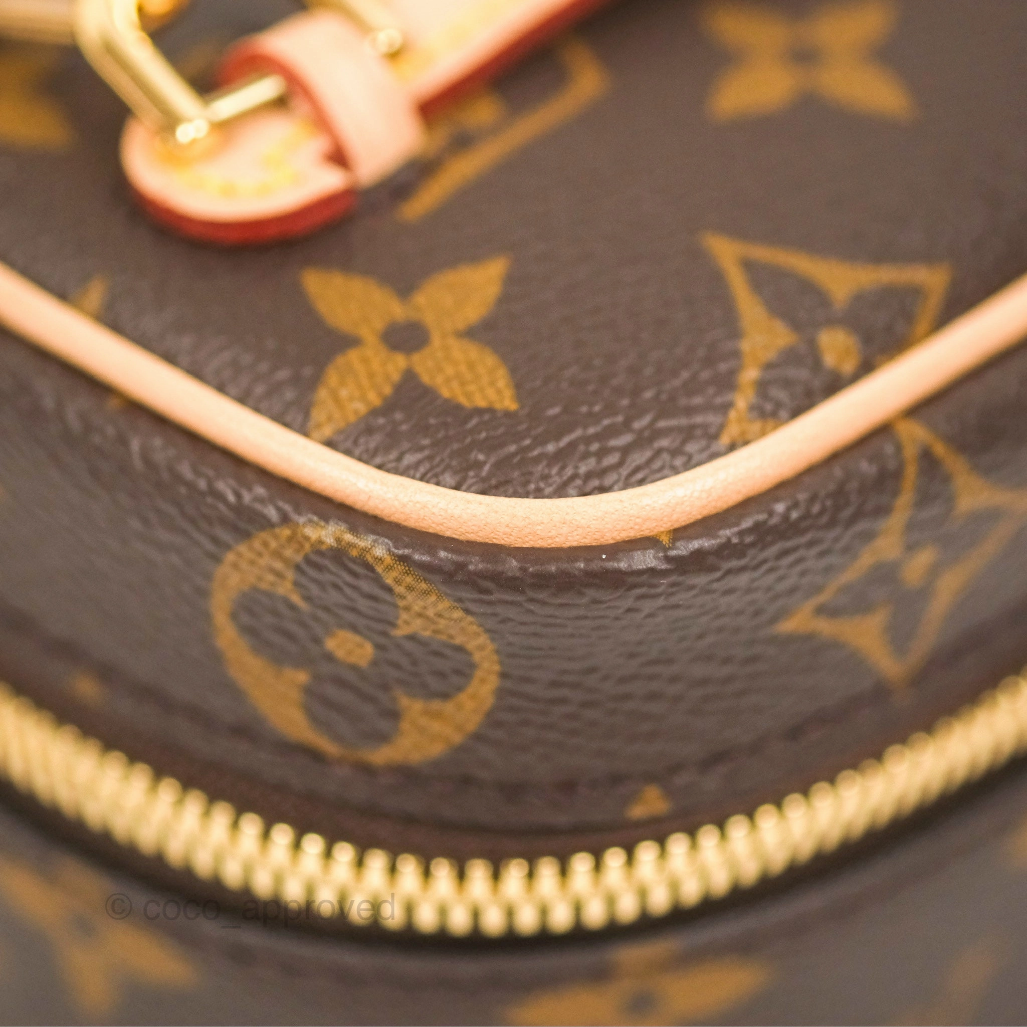 Louis Vuitton Nano Nice Monogram