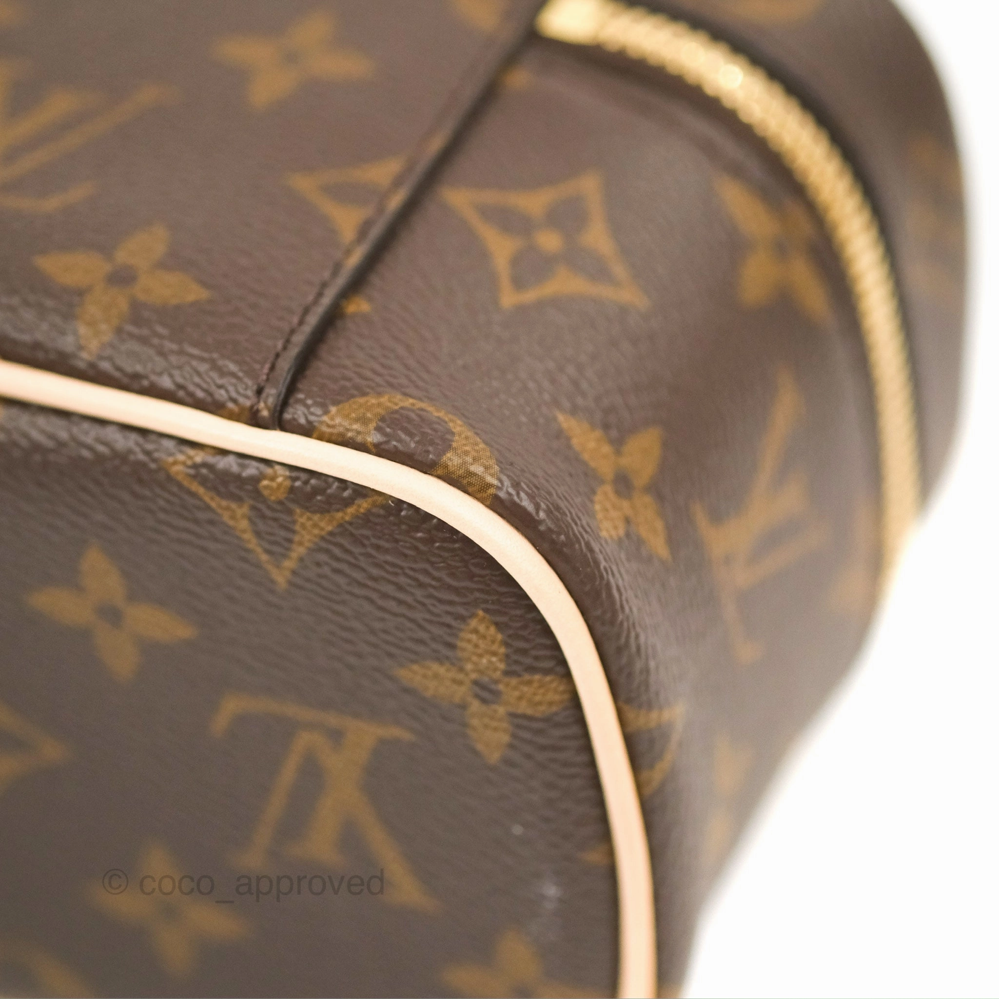 Louis Vuitton Nano Nice Monogram
