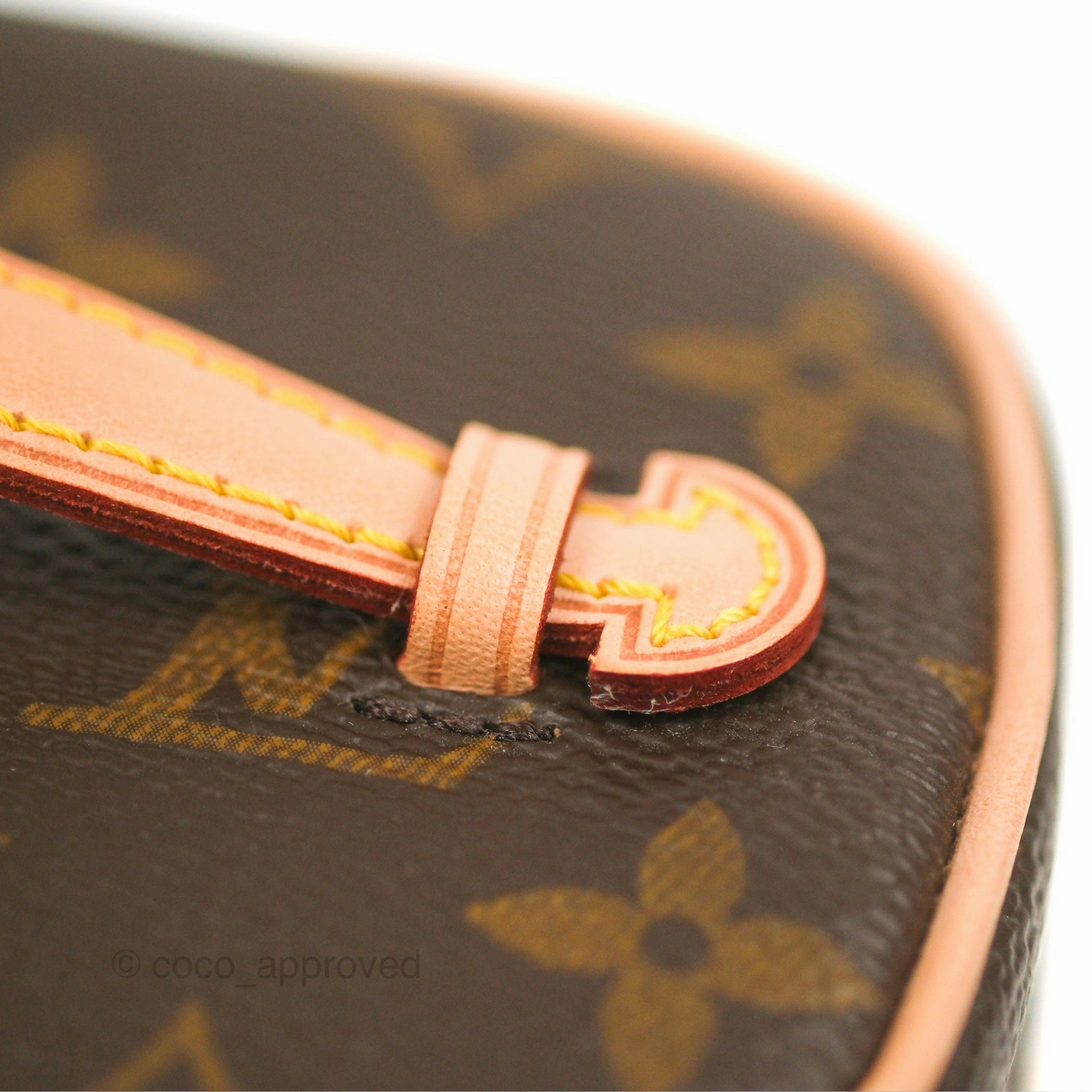 Louis Vuitton Nano Nice Monogram
