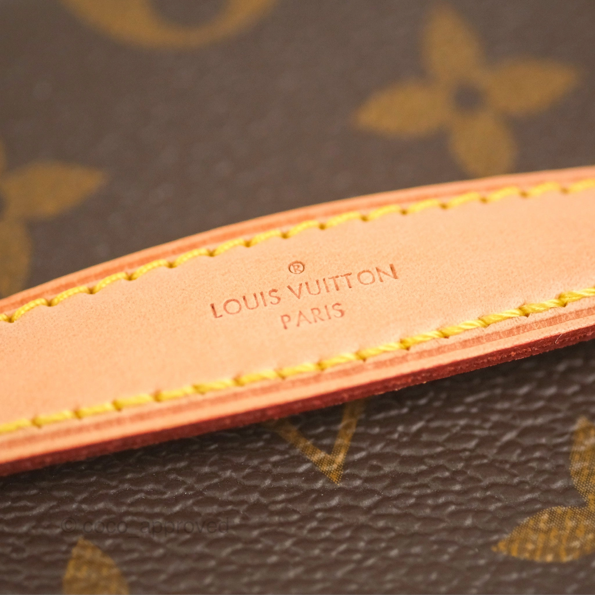 Louis Vuitton Nano Nice Monogram