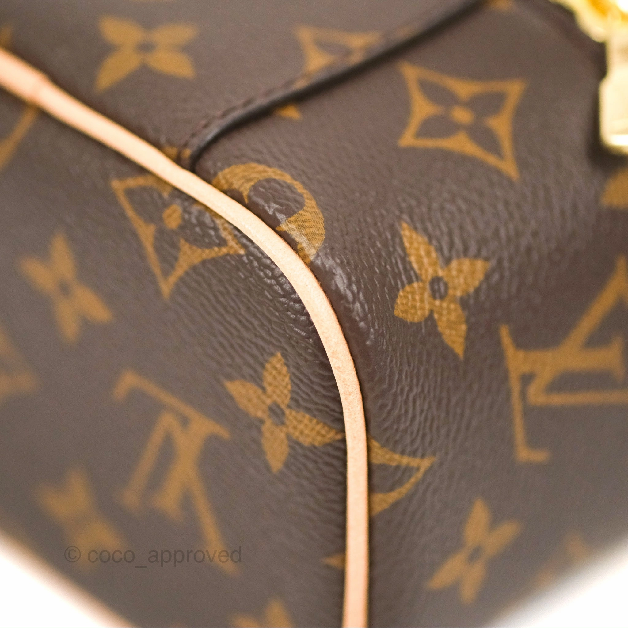 Louis Vuitton Nano Nice Monogram