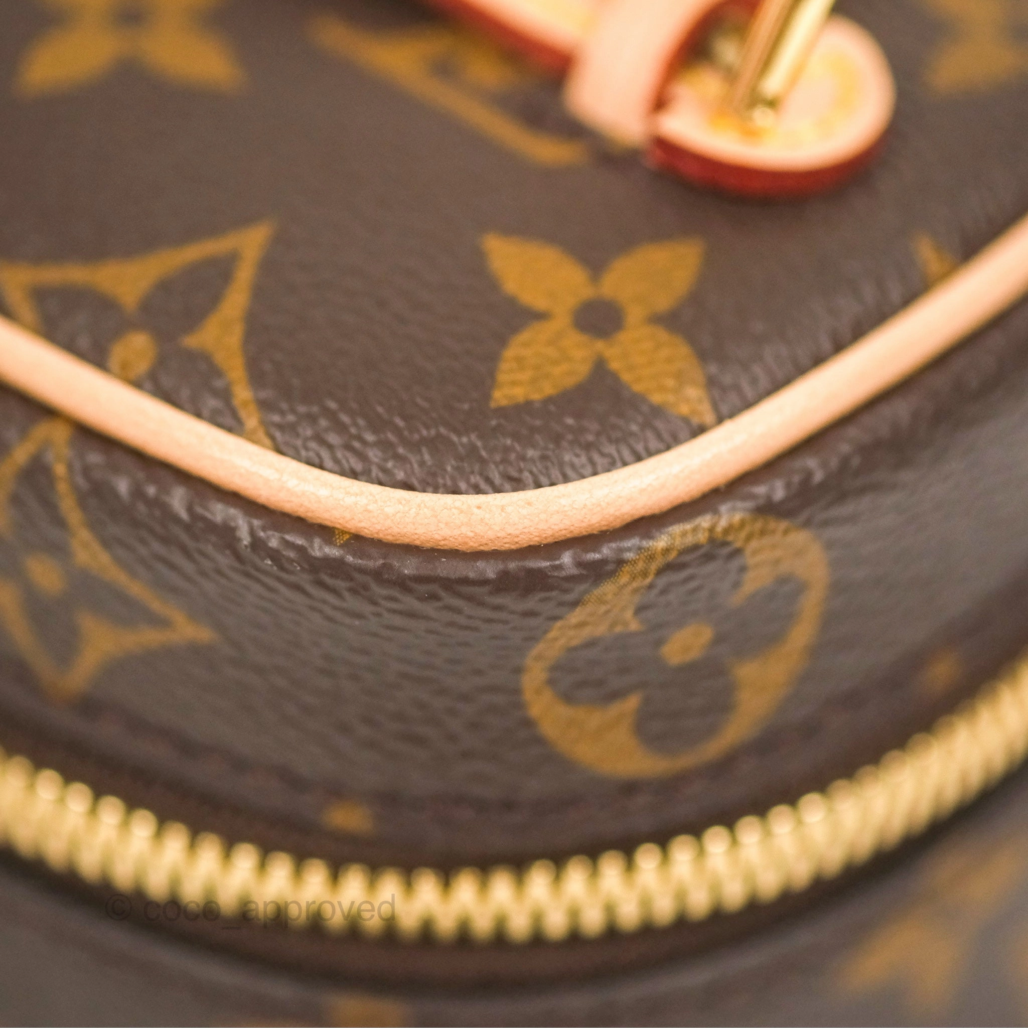 Louis Vuitton Nano Nice Monogram