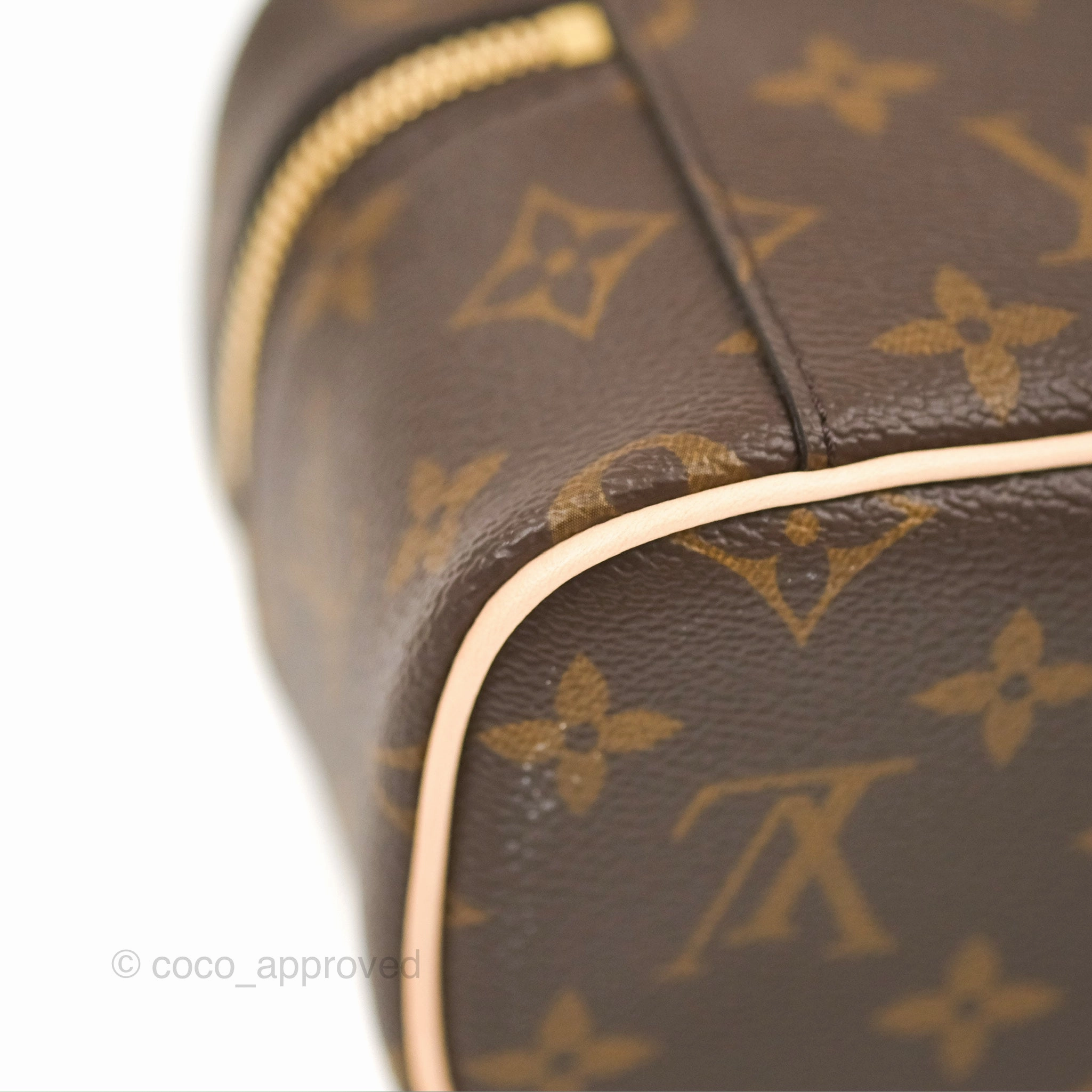 Louis Vuitton Nano Nice Monogram