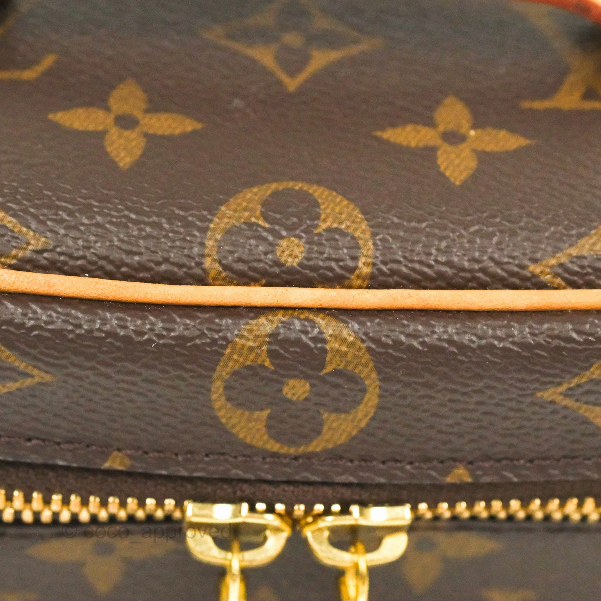 Louis Vuitton Nano Nice Monogram