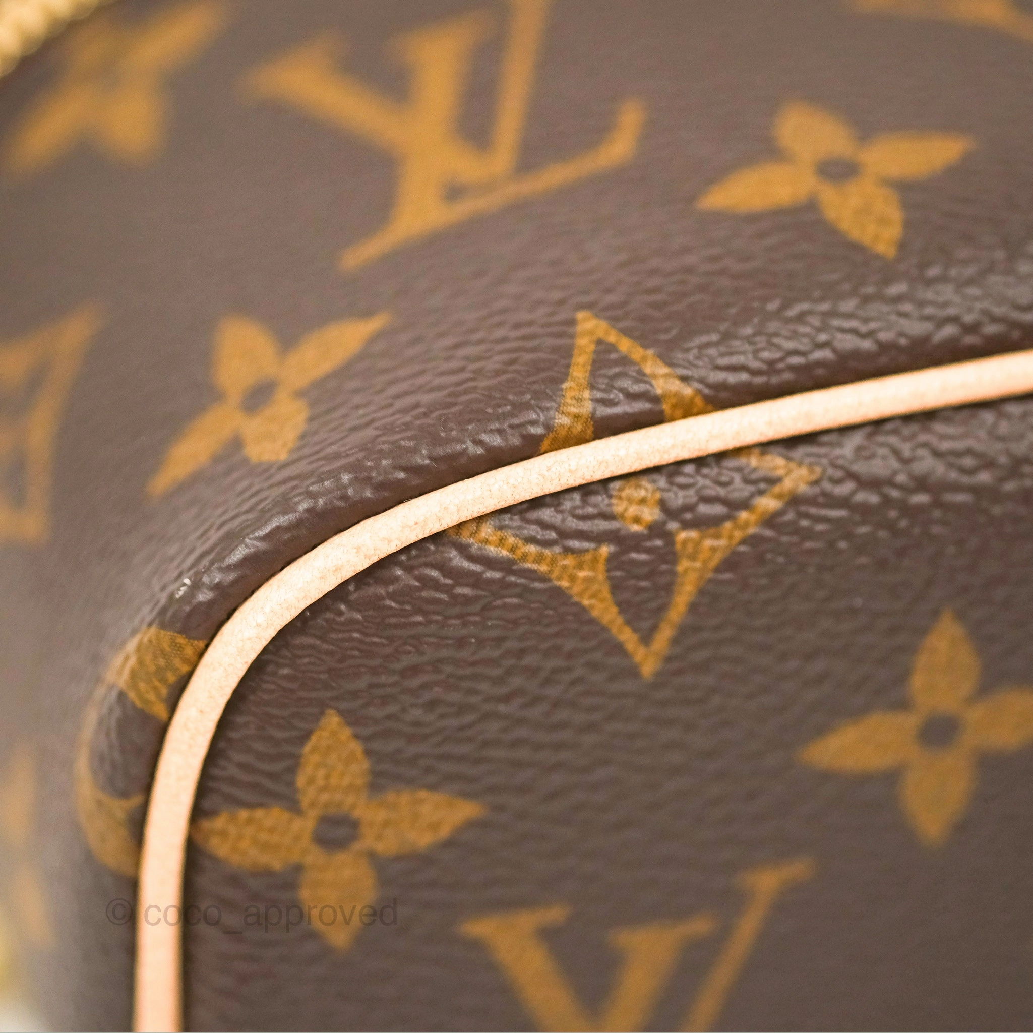 Louis Vuitton Nano Nice Monogram