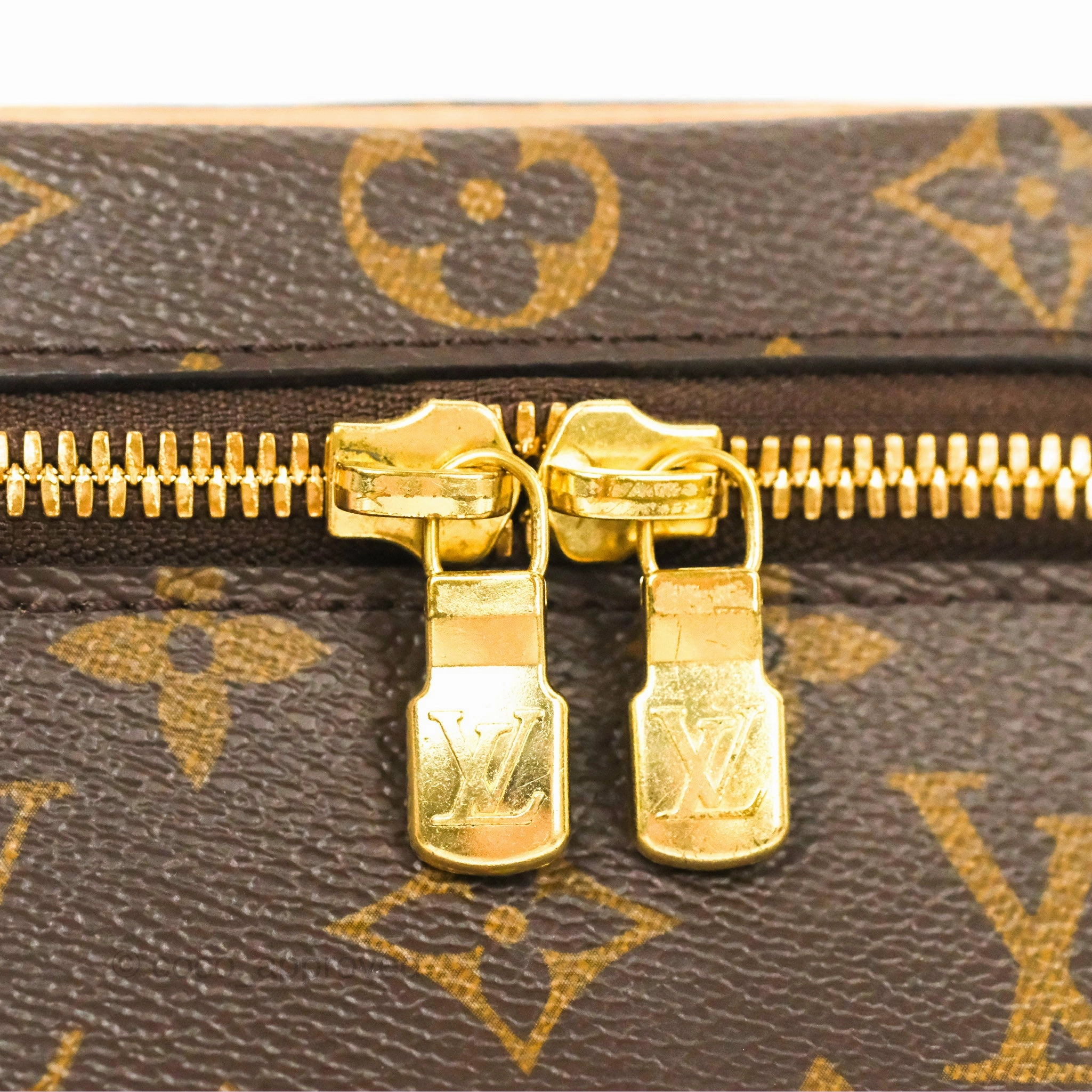 Louis Vuitton Nano Nice Monogram