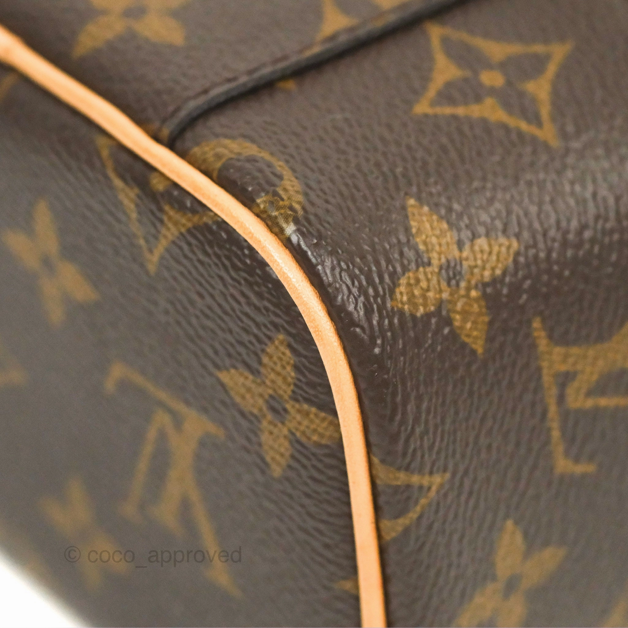 Louis Vuitton Nano Nice Monogram