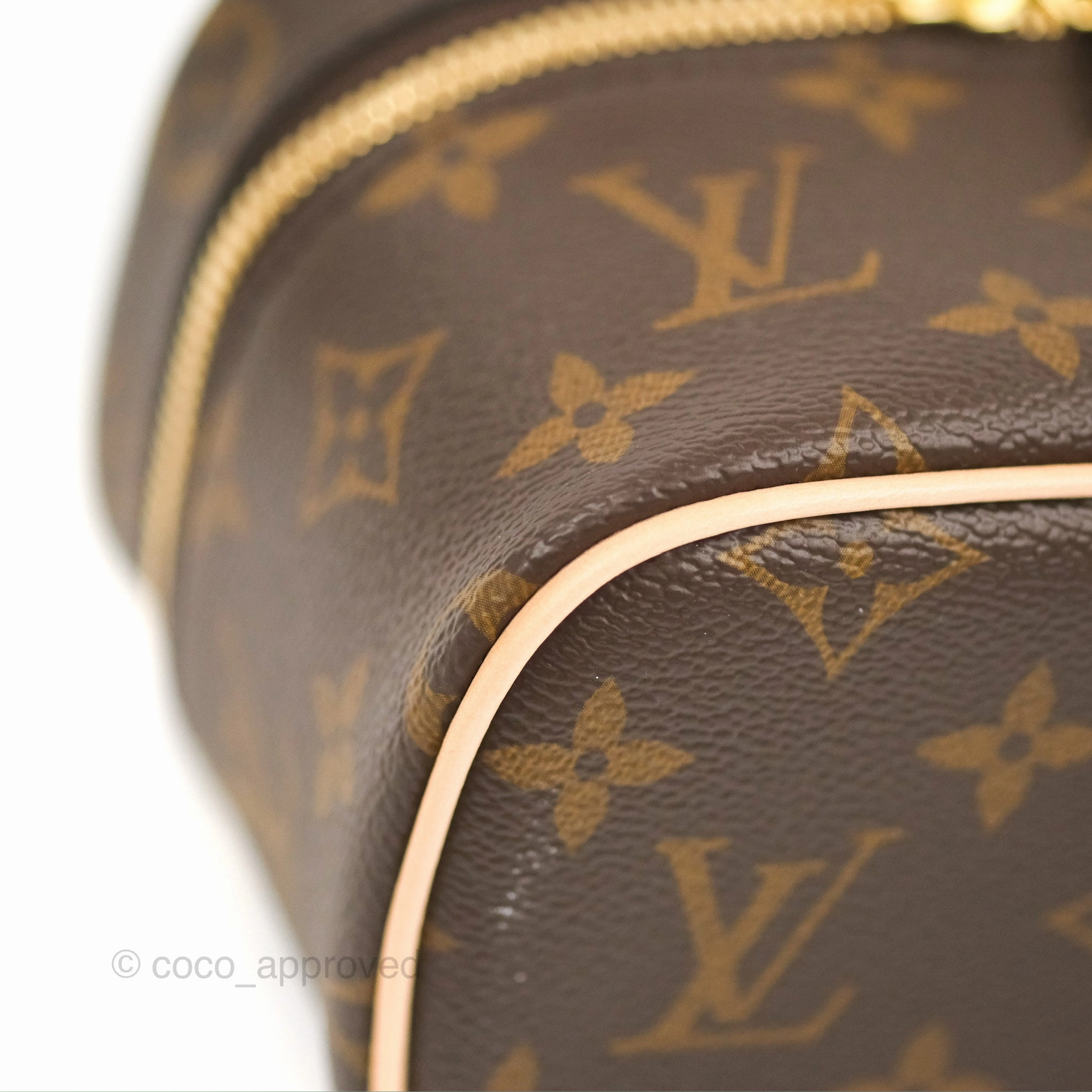 Louis Vuitton Nano Nice Monogram