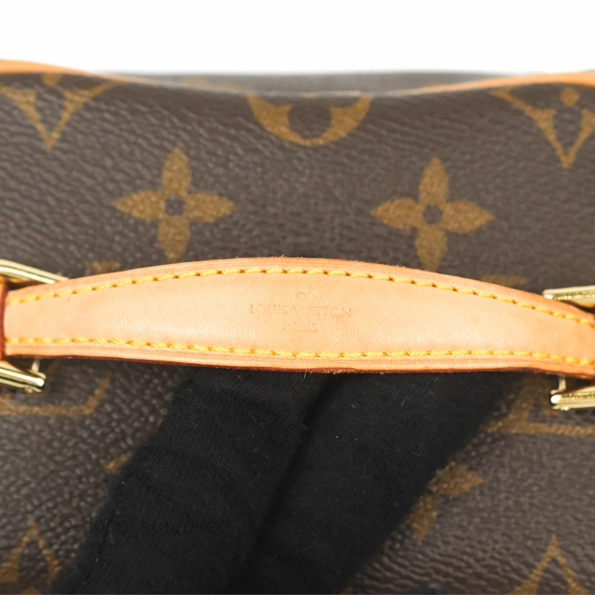 Louis Vuitton Nano Nice Monogram
