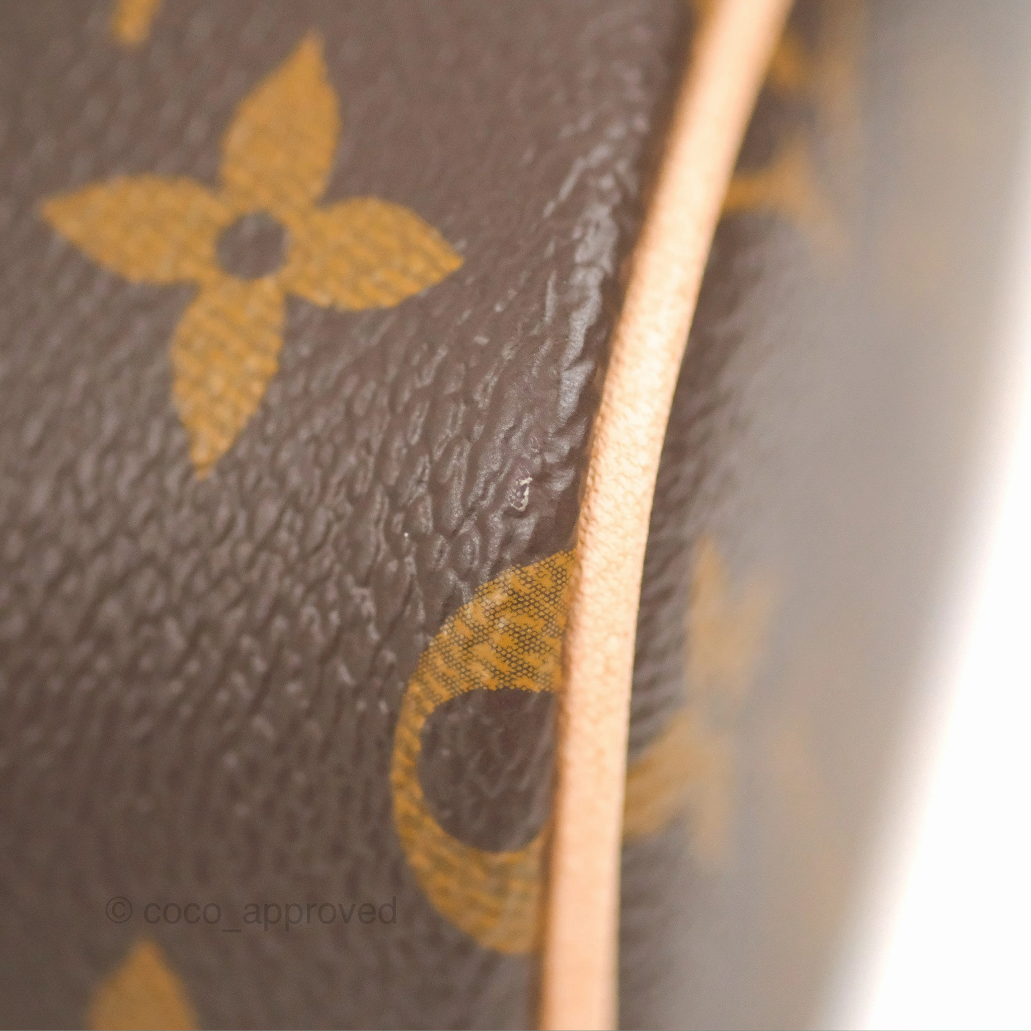 Louis Vuitton Nano Nice Monogram