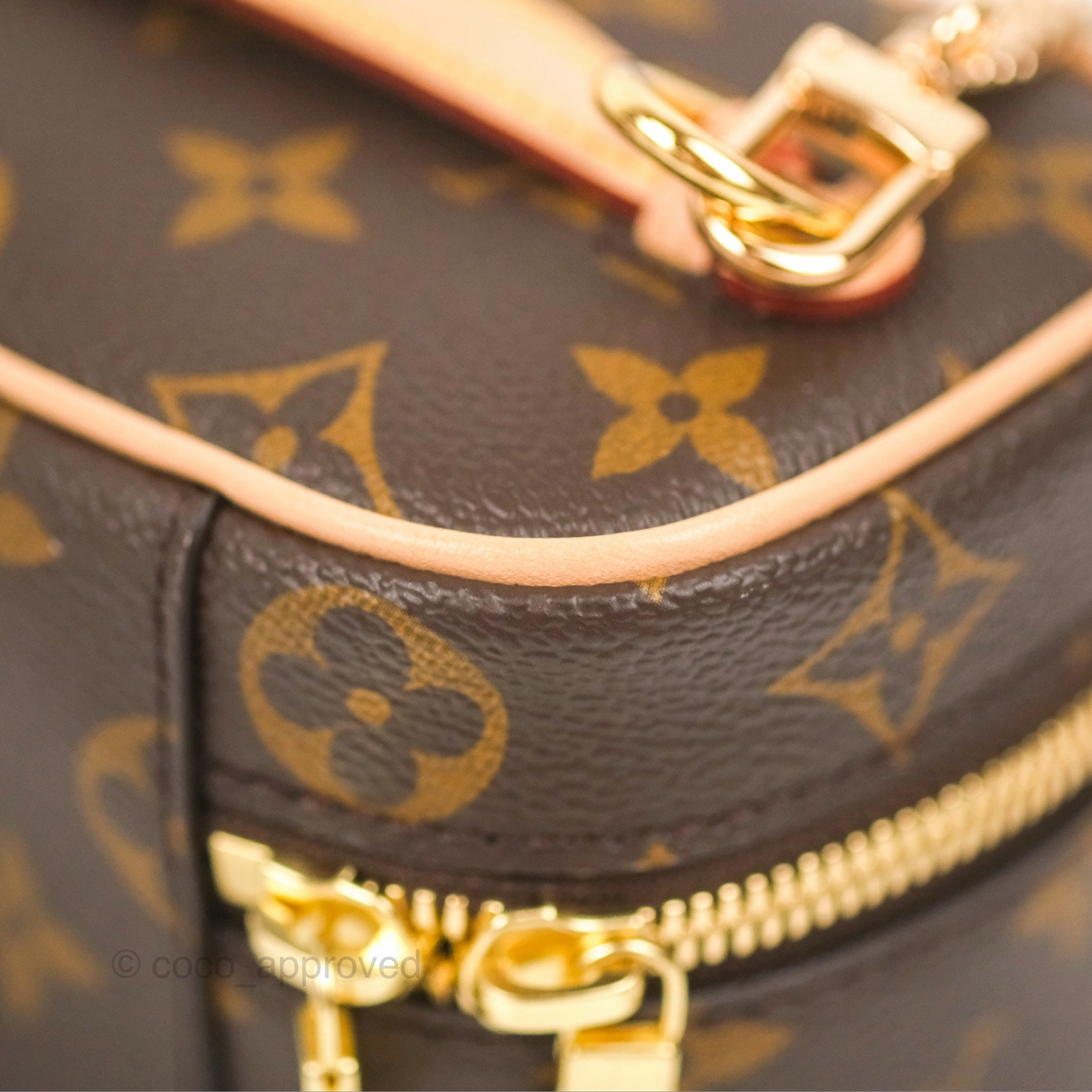 Louis Vuitton Nano Nice Monogram