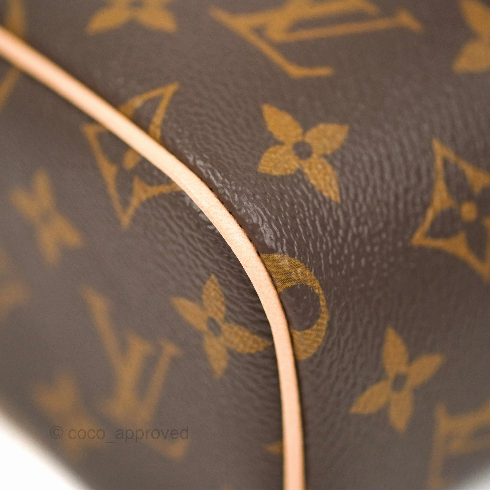 Louis Vuitton Nano Nice Monogram
