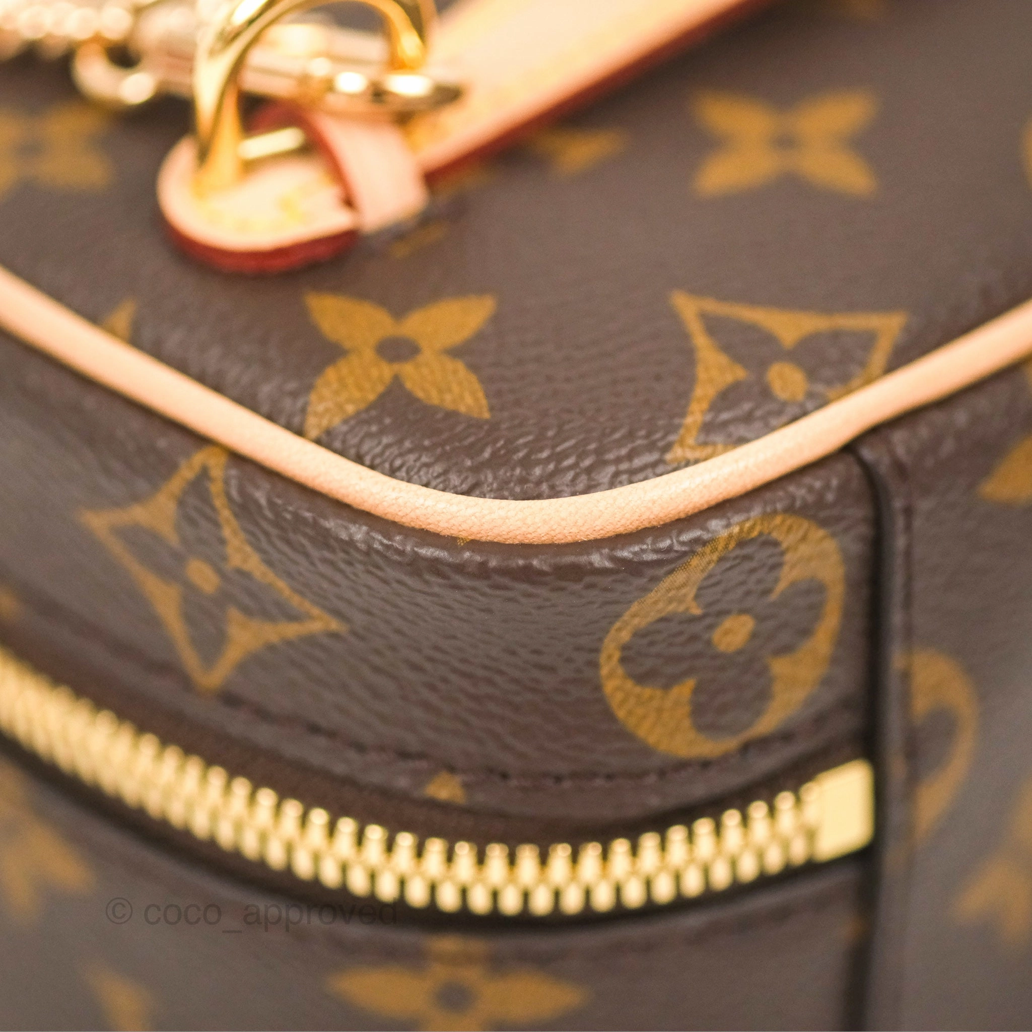 Louis Vuitton Nano Nice Monogram