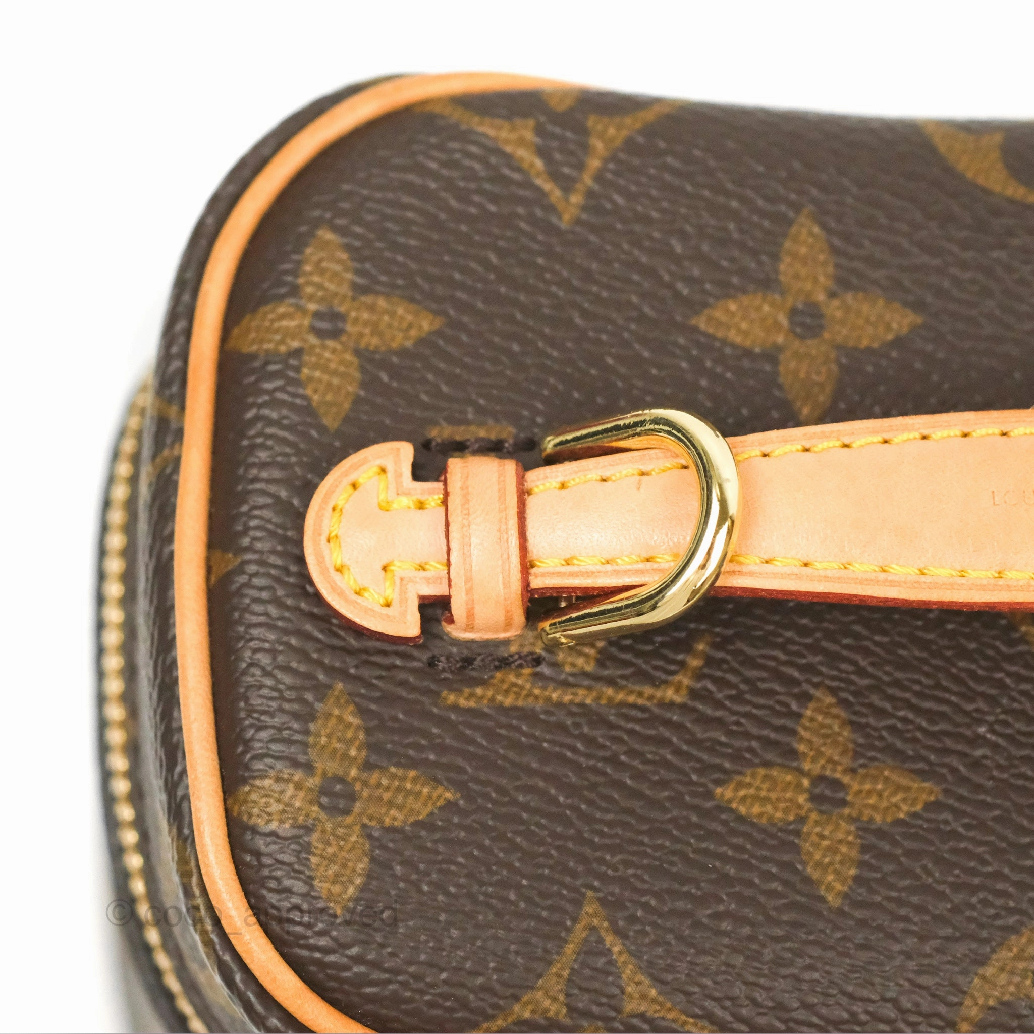 Louis Vuitton Nano Nice Monogram
