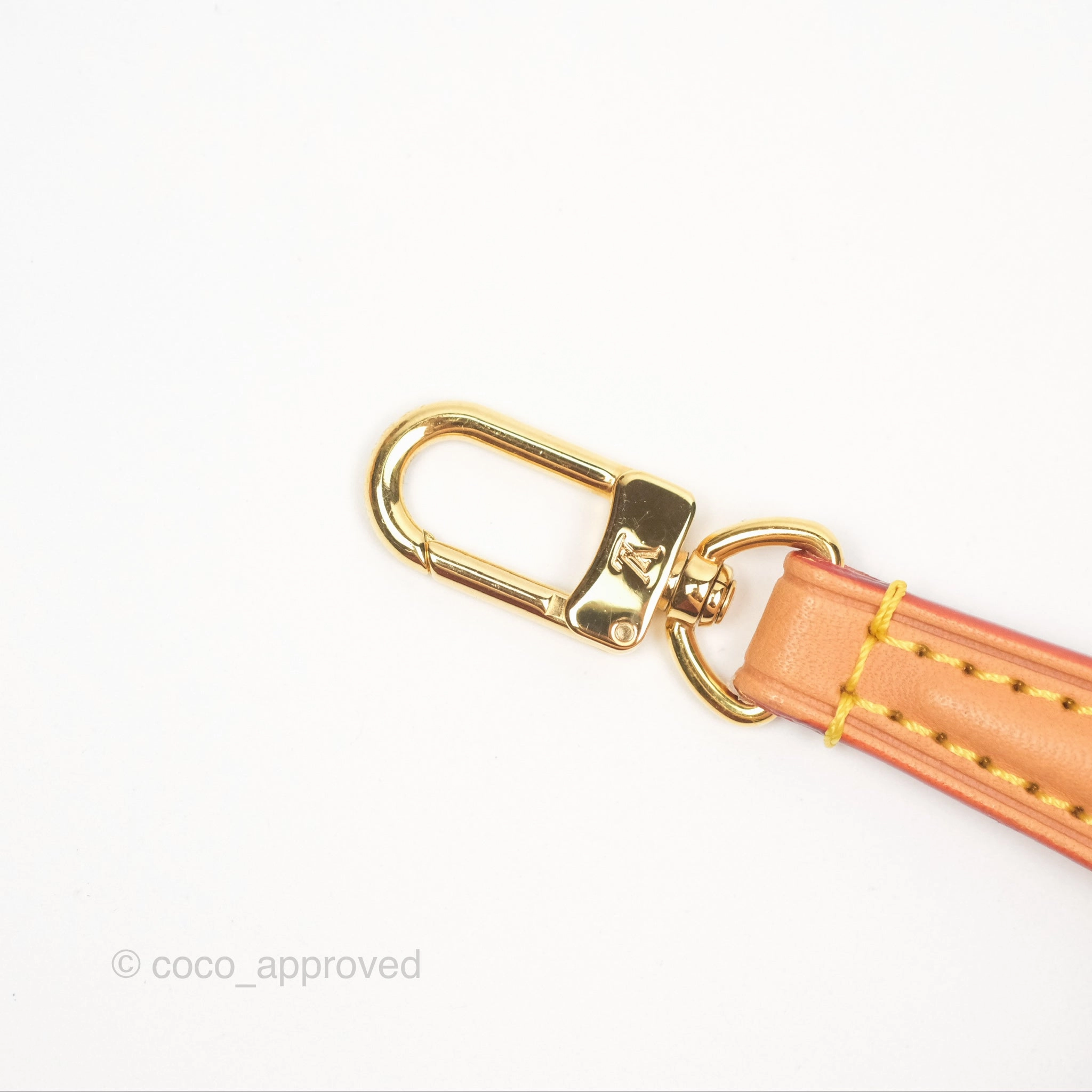 Louis Vuitton Nano Noe Monogram Canvas