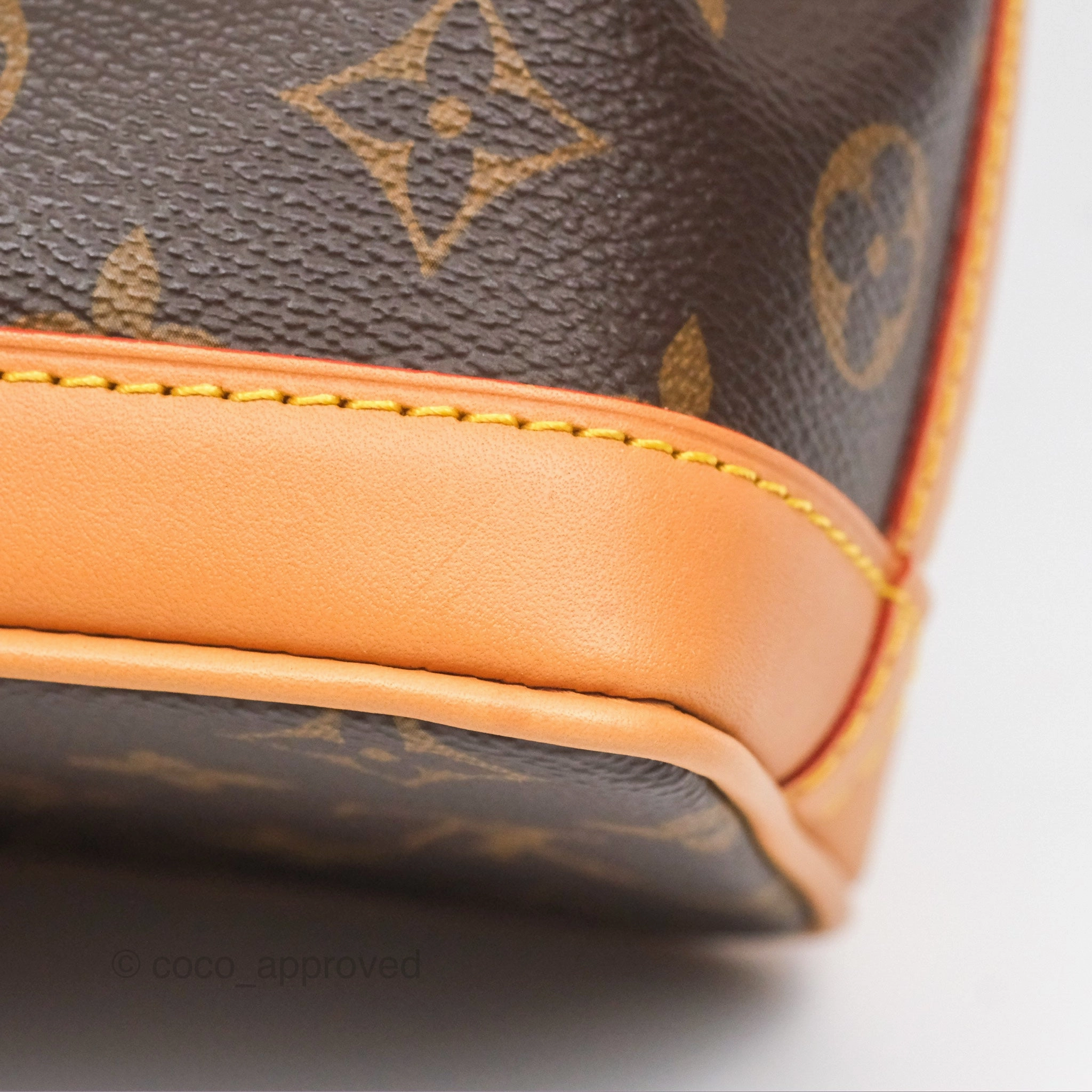 Louis Vuitton Nano Noe Monogram Canvas