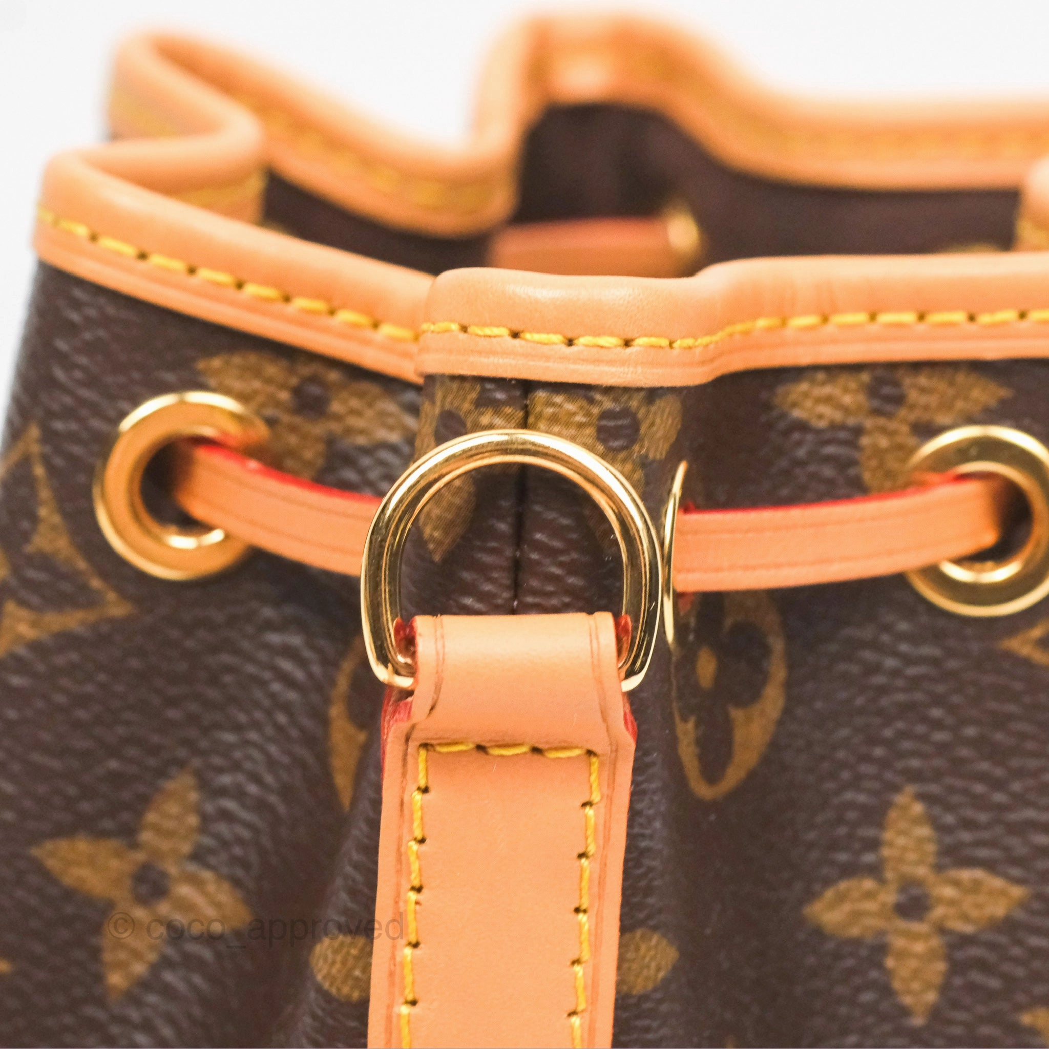 Louis Vuitton Nano Noe Monogram Canvas