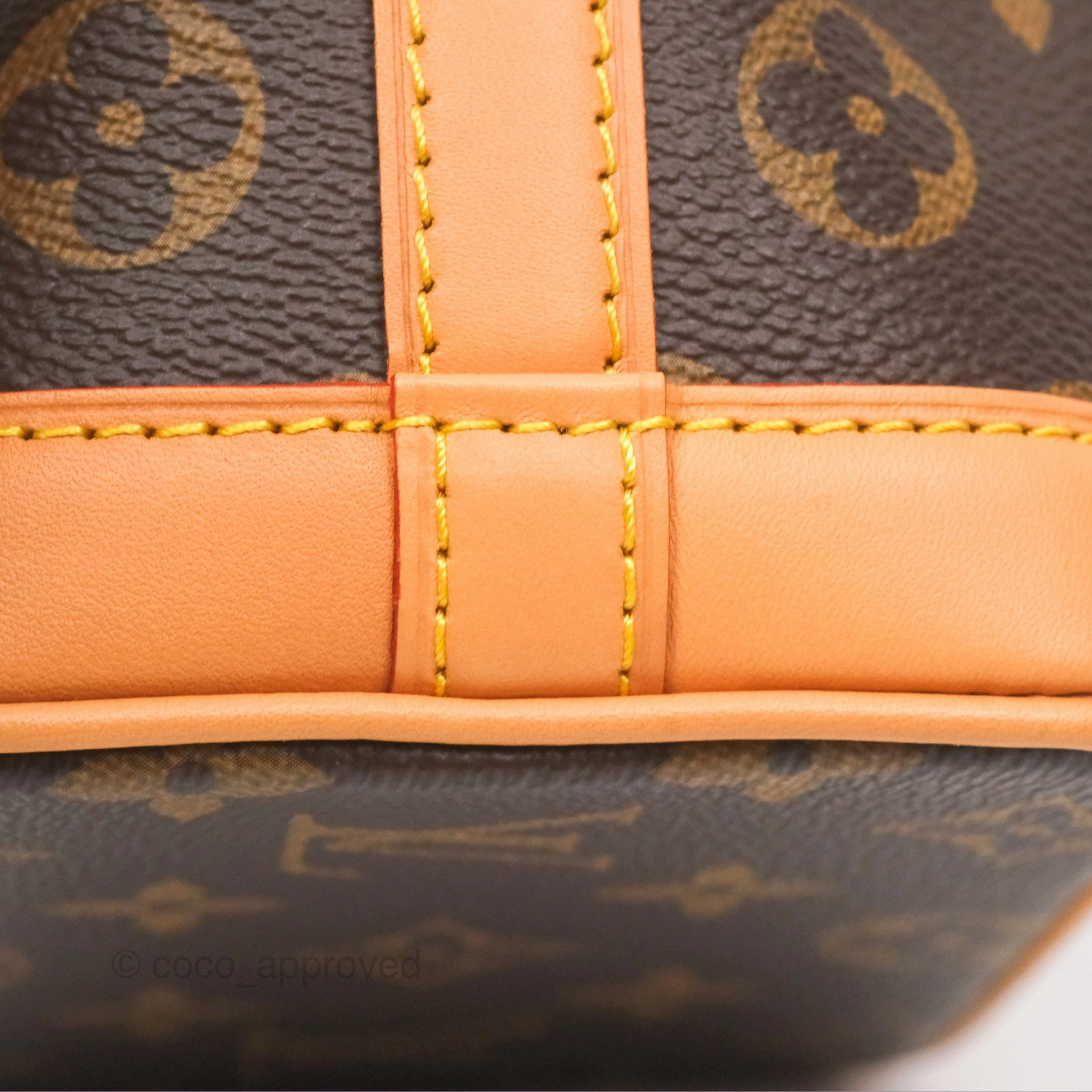 Louis Vuitton Nano Noe Monogram Canvas