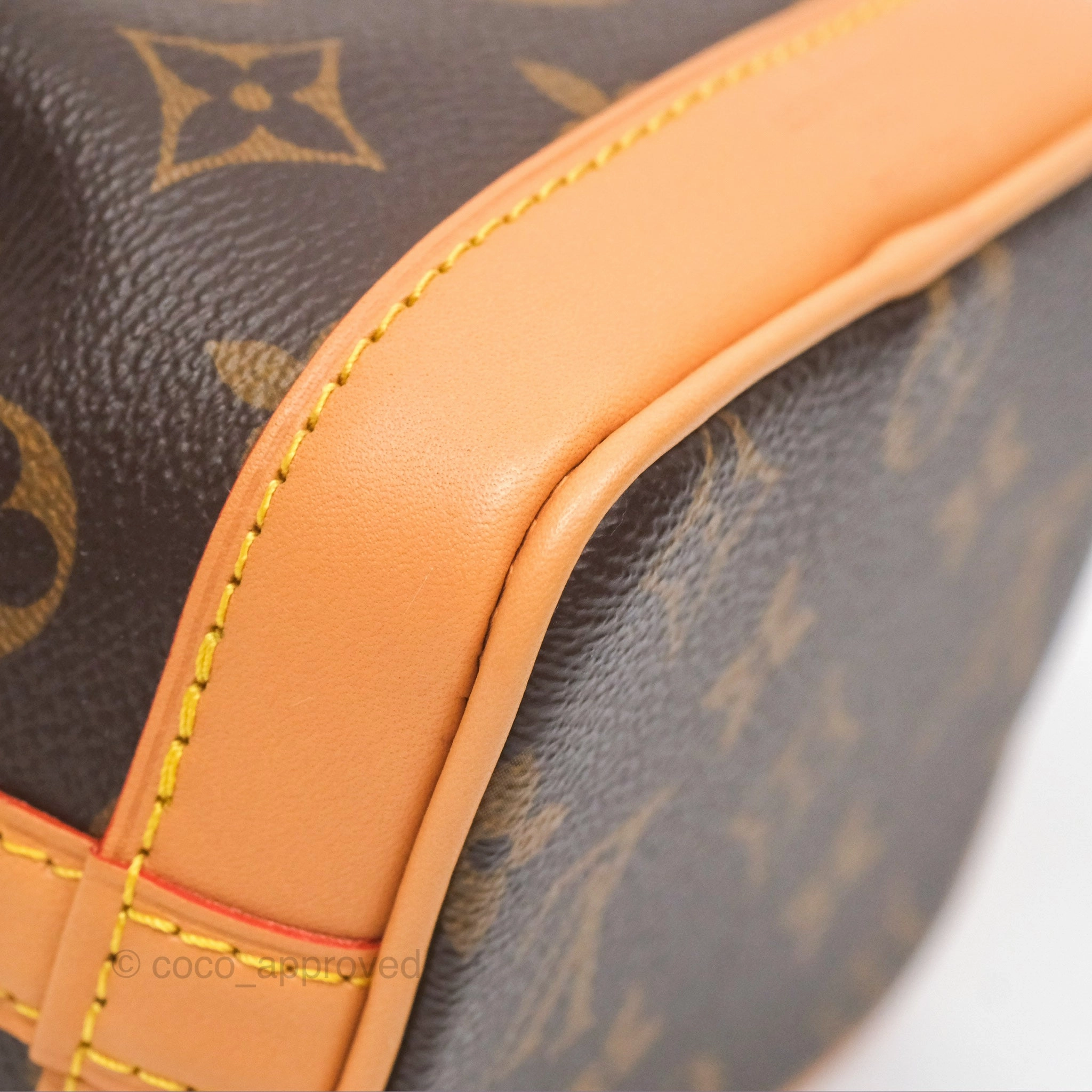 Louis Vuitton Nano Noe Monogram Canvas
