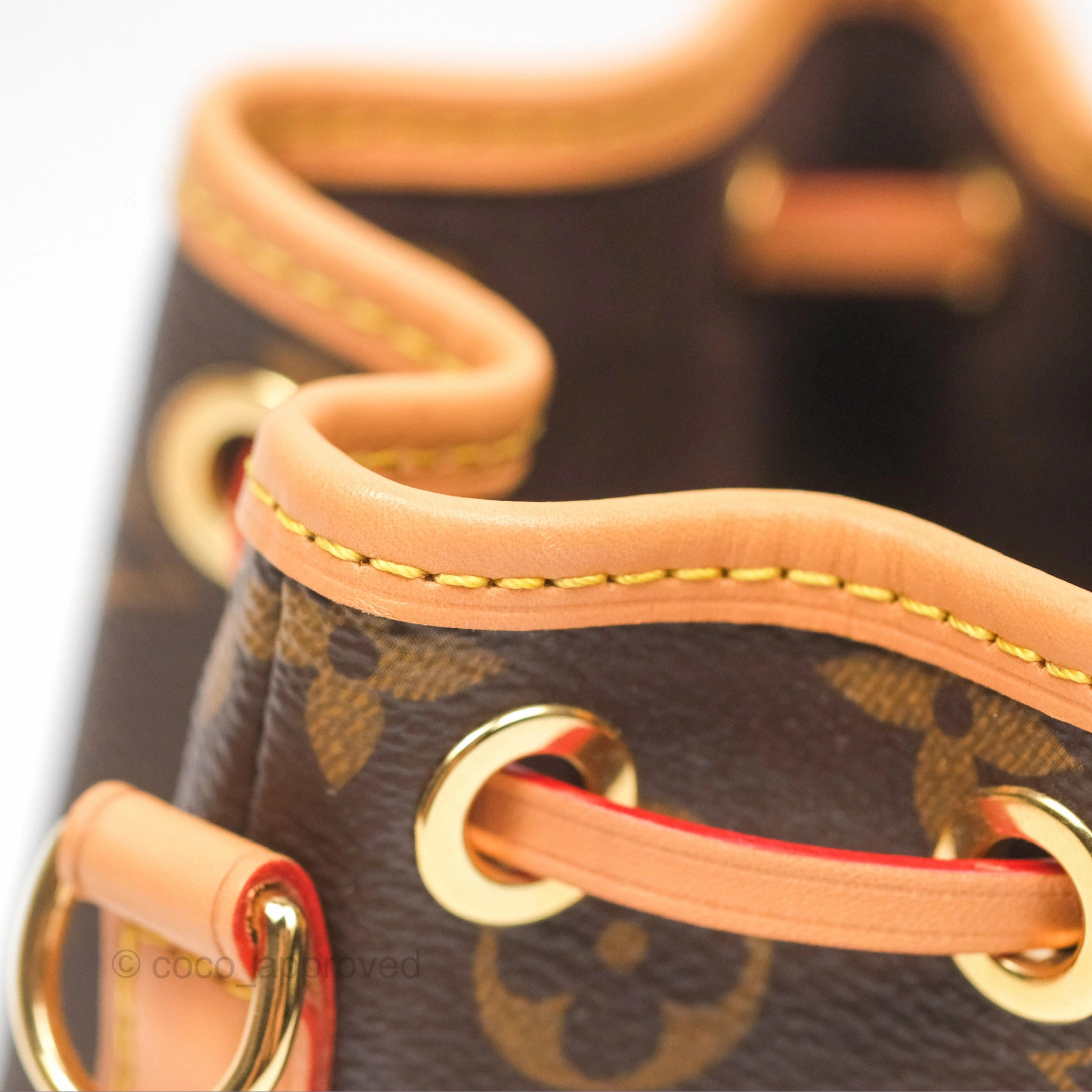 Louis Vuitton Nano Noe Monogram Canvas