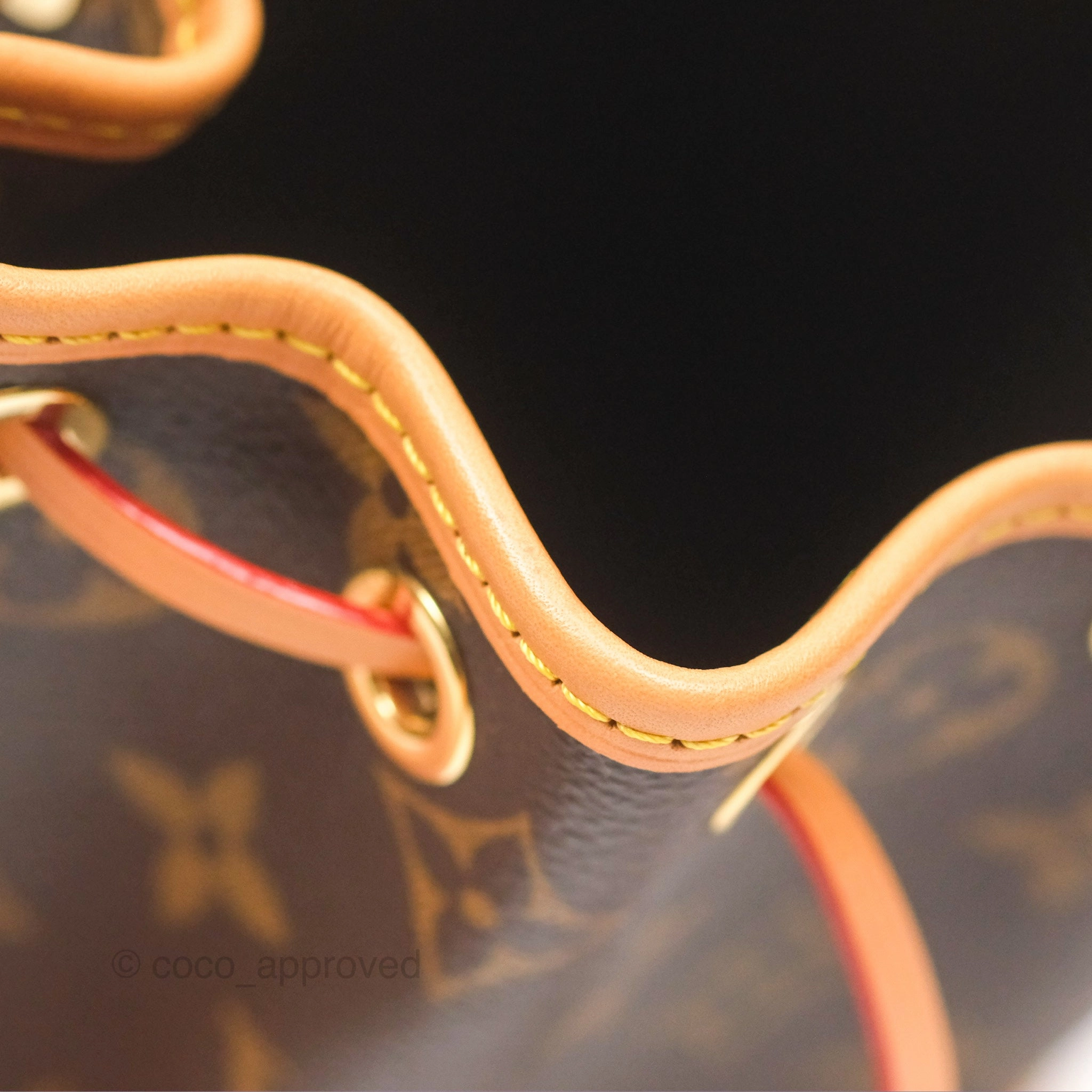 Louis Vuitton Nano Noe Monogram Canvas