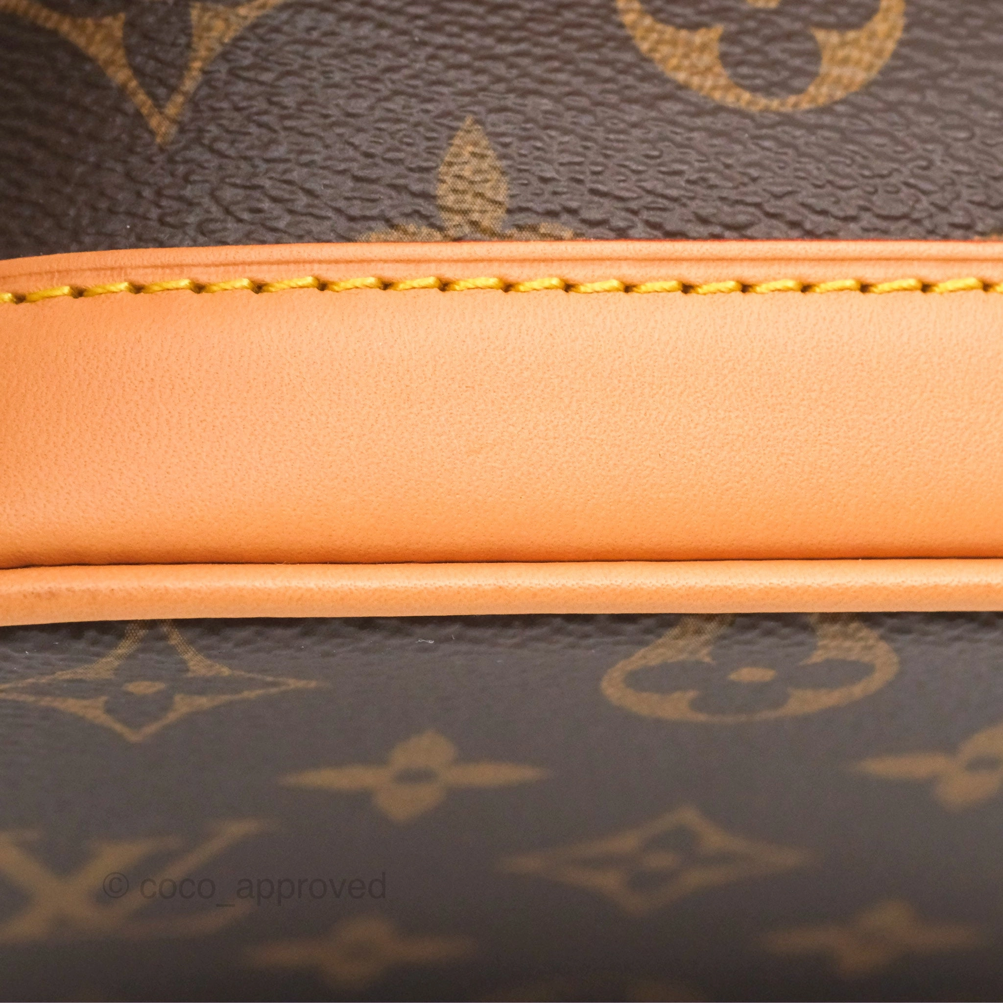 Louis Vuitton Nano Noe Monogram Canvas