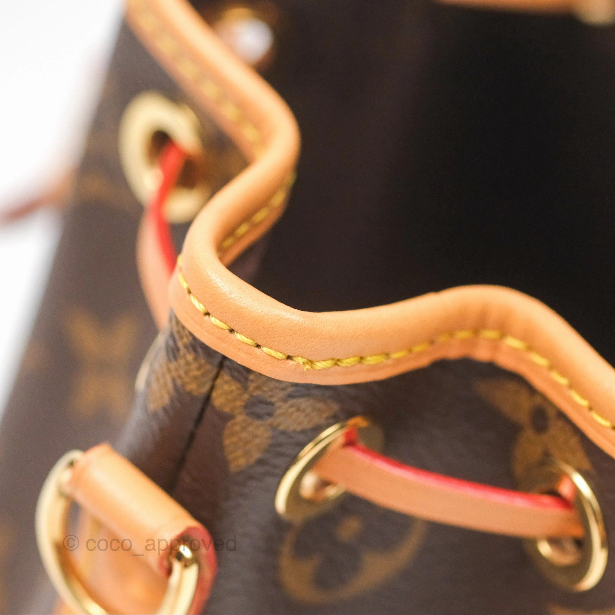 Louis Vuitton Nano Noe Monogram Canvas