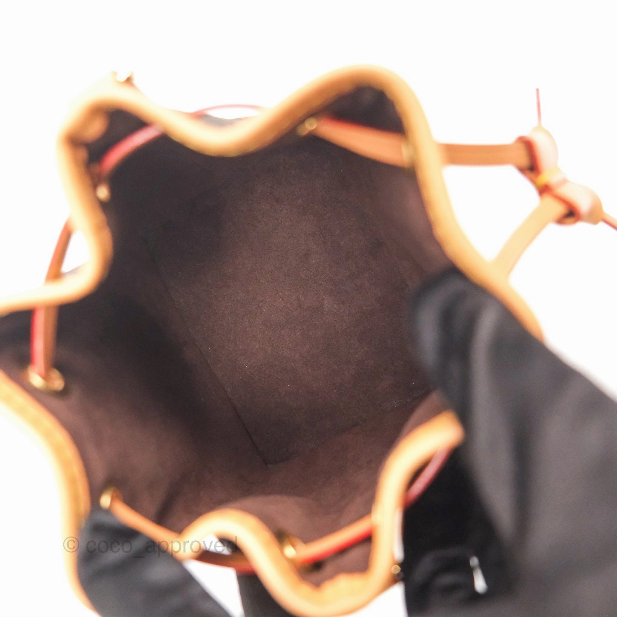 Louis Vuitton Nano Noe Monogram Canvas
