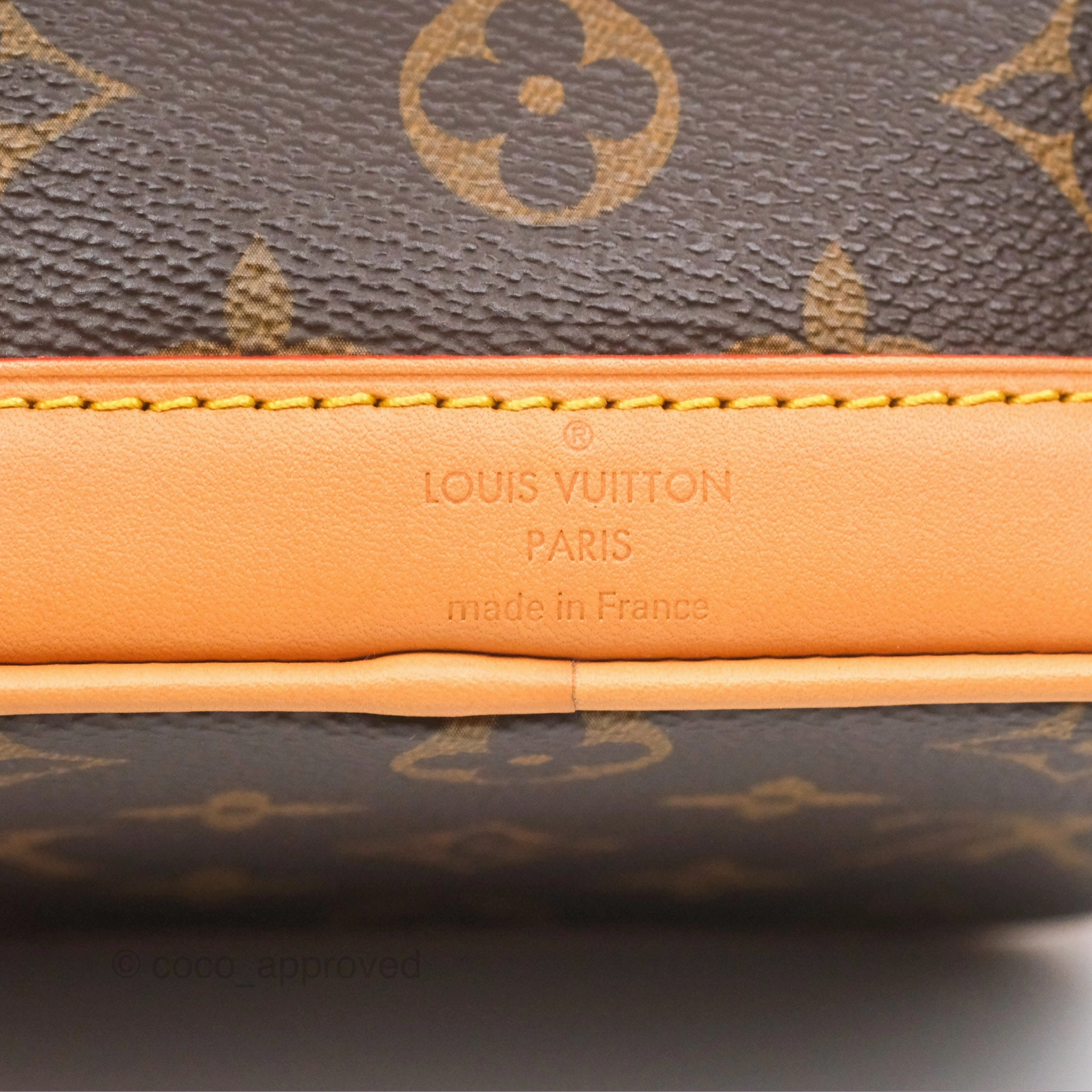 Louis Vuitton Nano Noe Monogram Canvas