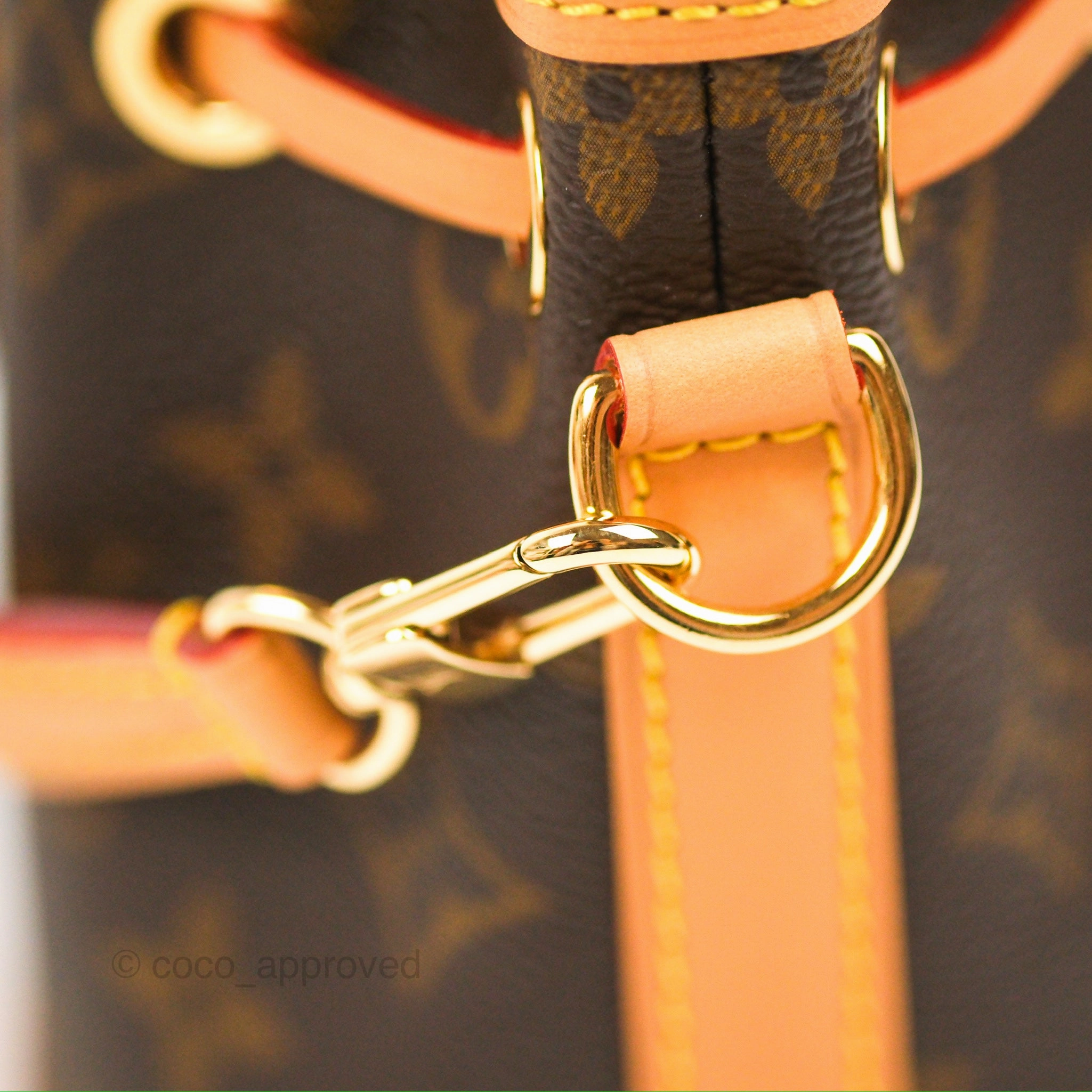 Louis Vuitton Nano Noe Monogram Canvas