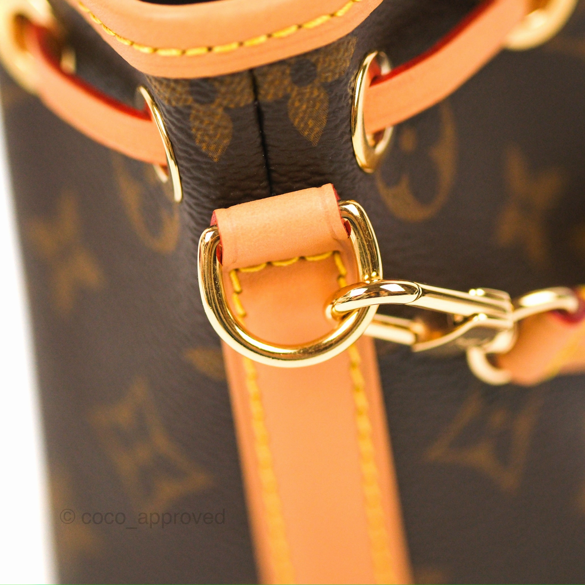 Louis Vuitton Nano Noe Monogram Canvas