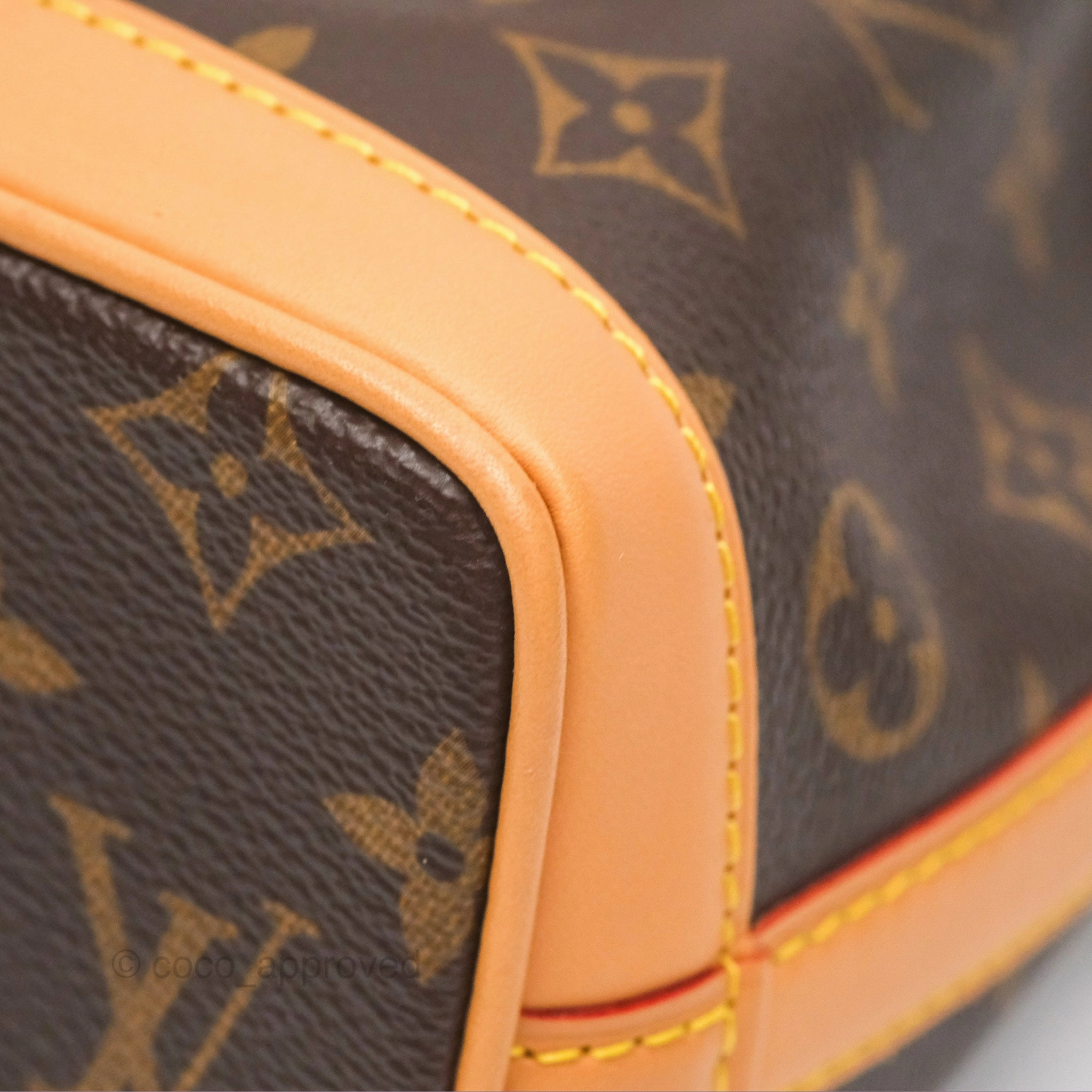 Louis Vuitton Nano Noe Monogram Canvas