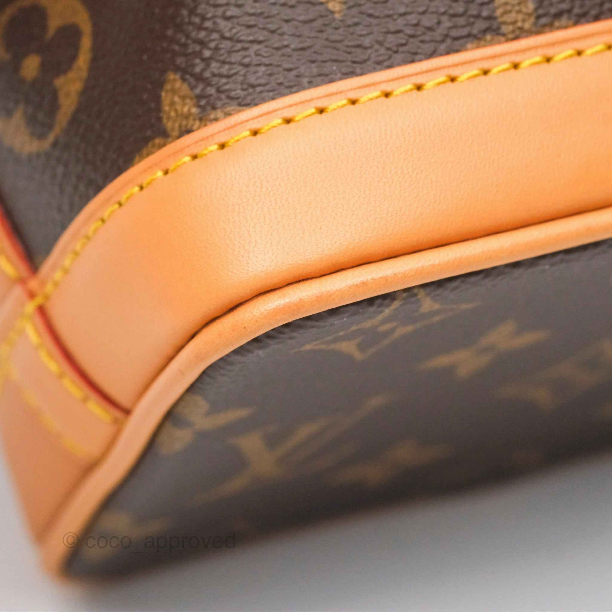 Louis Vuitton Nano Noe Monogram Canvas