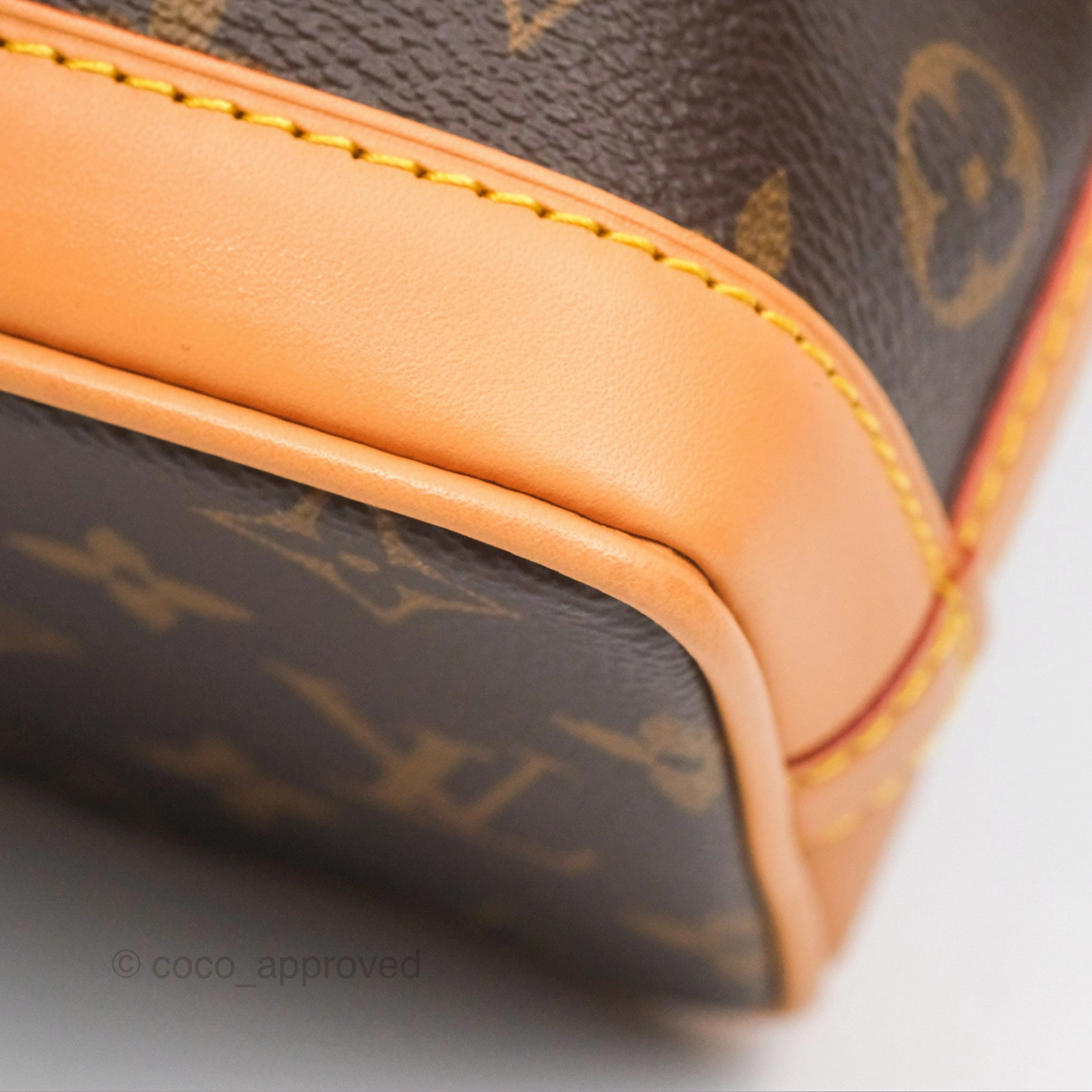 Louis Vuitton Nano Noe Monogram Canvas