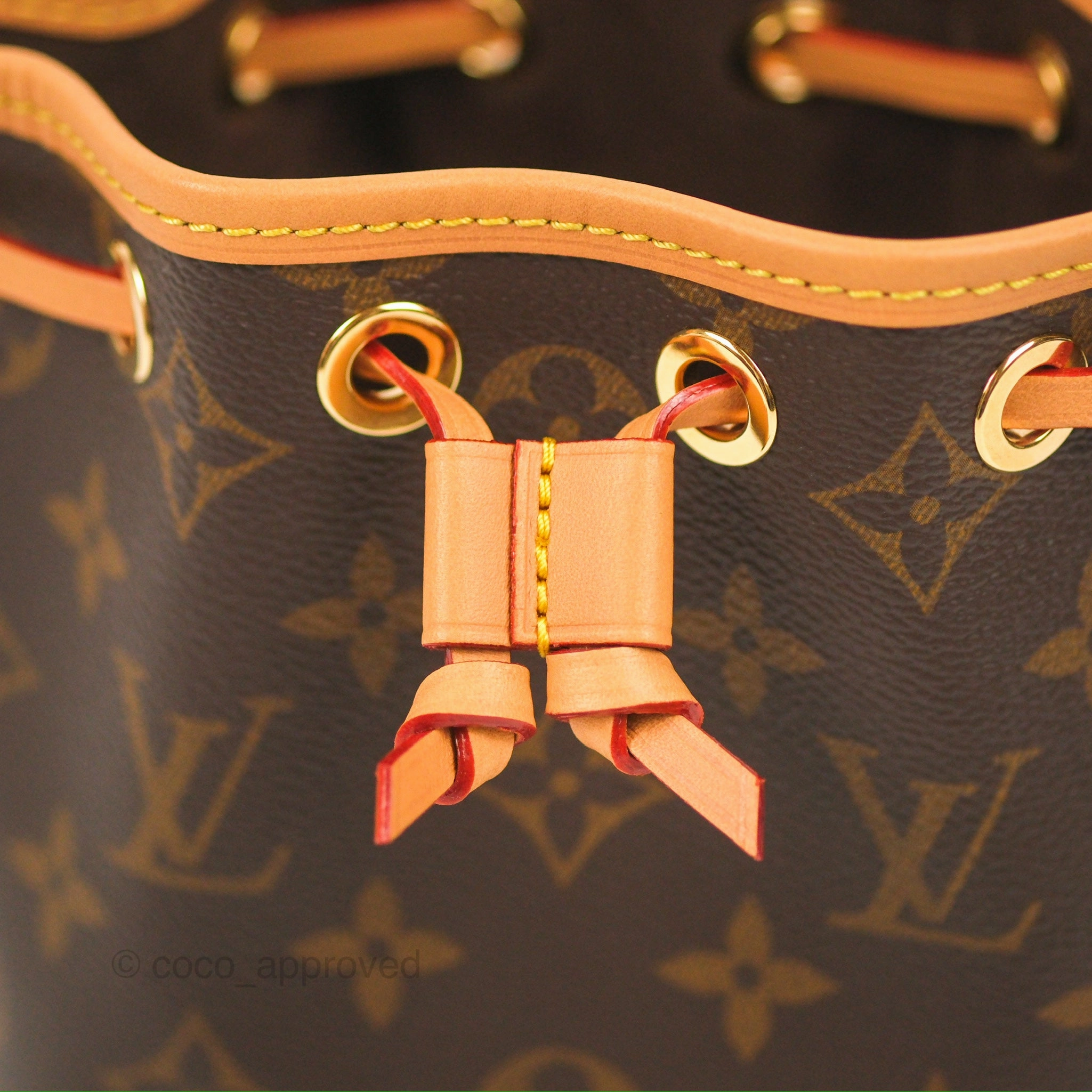 Louis Vuitton Nano Noe Monogram Canvas