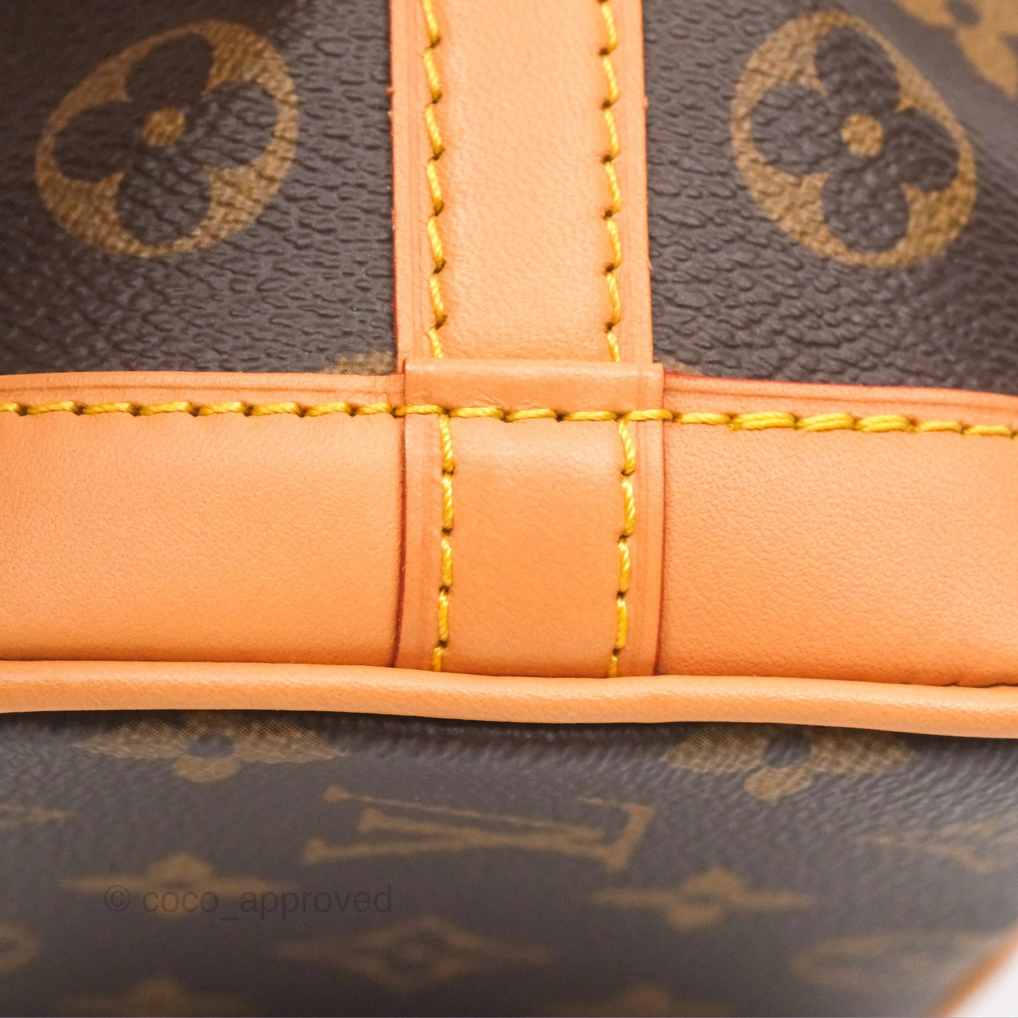 Louis Vuitton Nano Noe Monogram Canvas