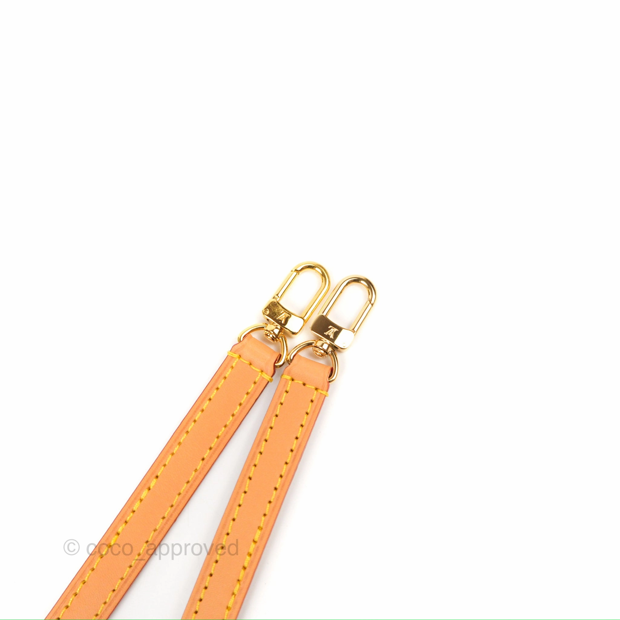 Louis Vuitton Nano Noe Monogram Canvas