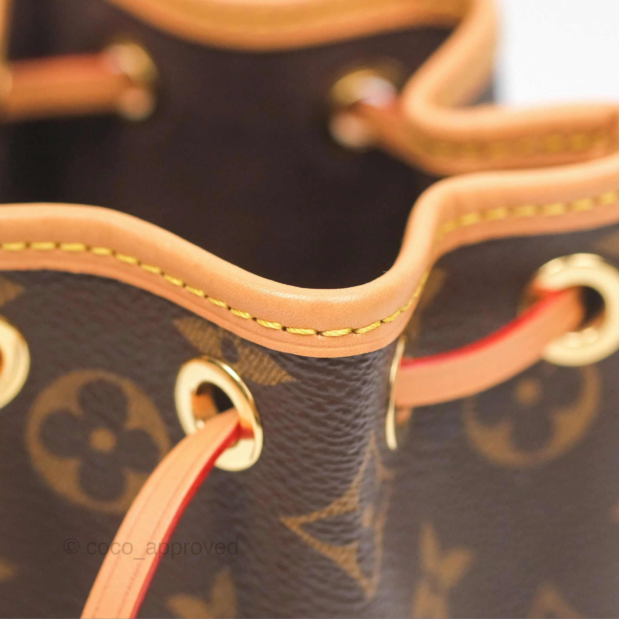 Louis Vuitton Nano Noe Monogram Canvas