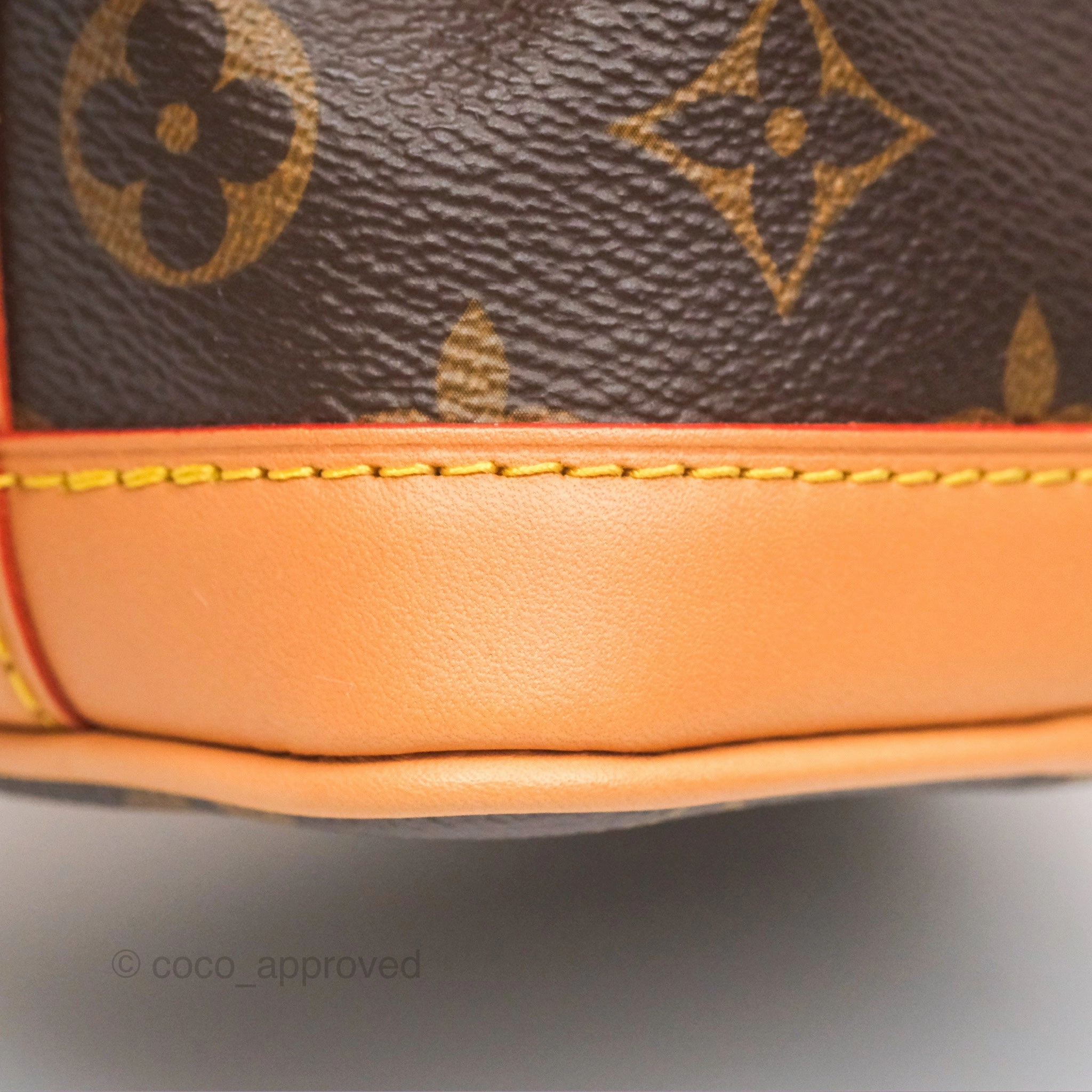 Louis Vuitton Nano Noe Monogram Canvas