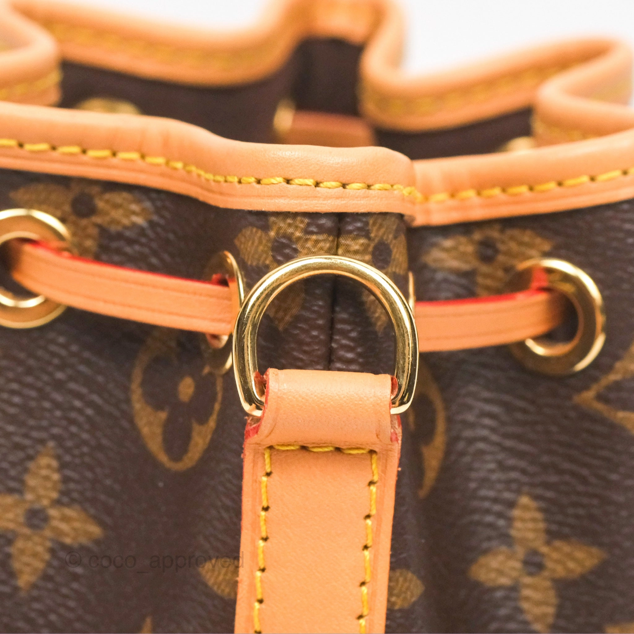 Louis Vuitton Nano Noe Monogram Canvas