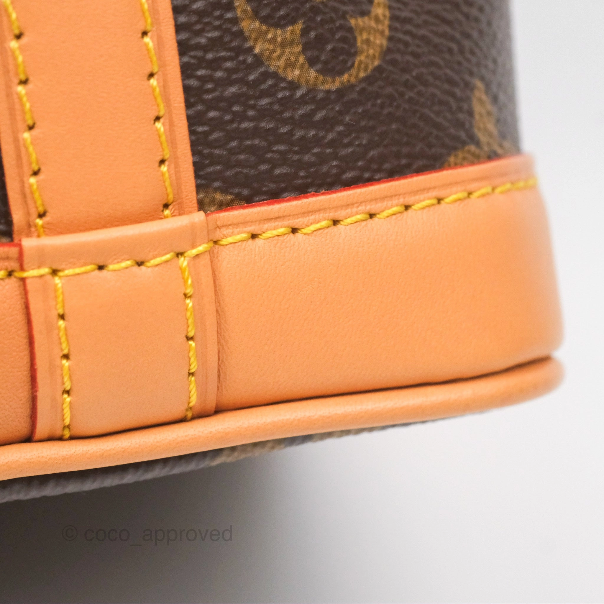 Louis Vuitton Nano Noe Monogram Canvas